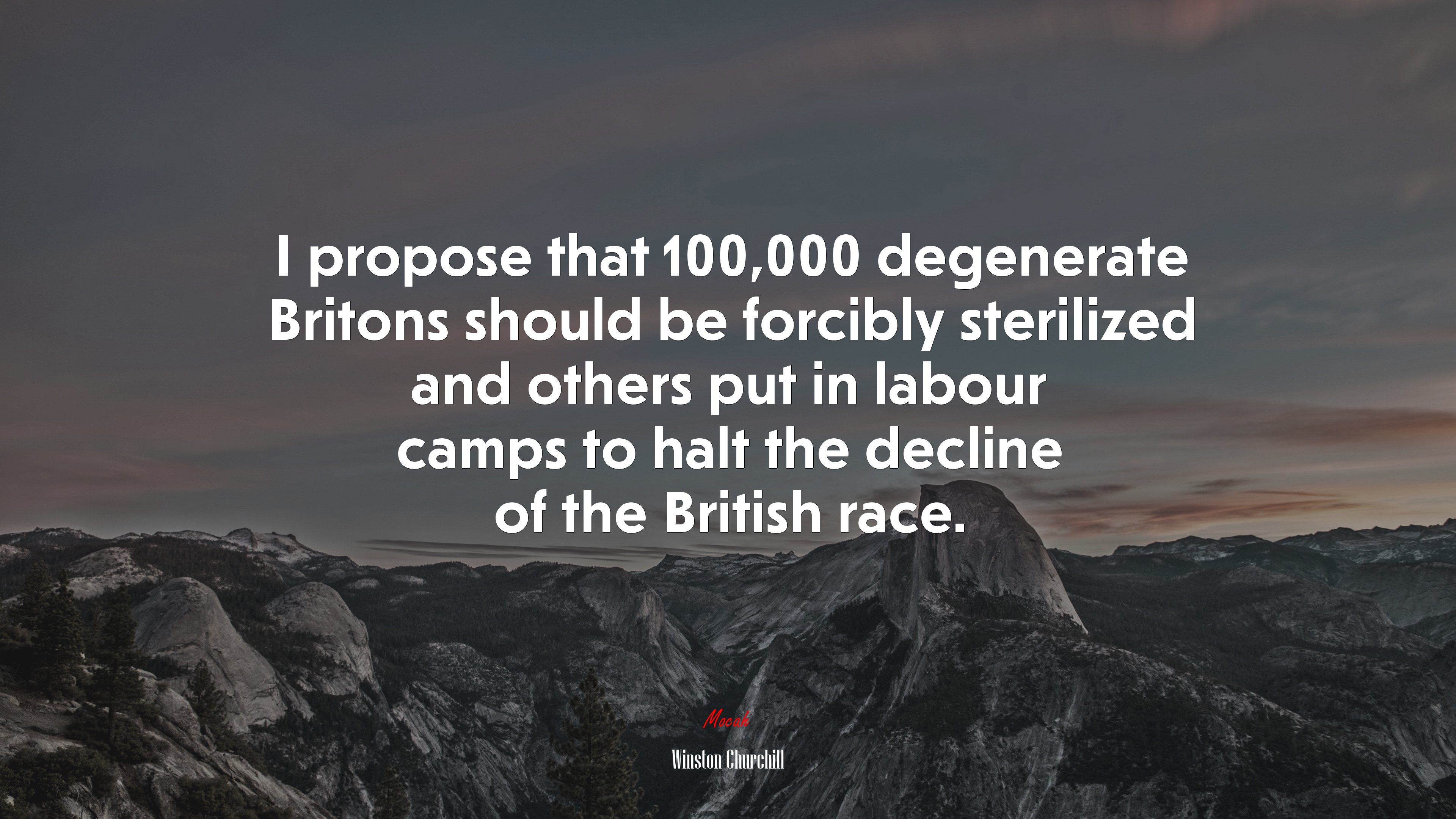 I propose that 100,000 degenerate Britons should be forcibly sterilized and others put in labour camps to halt the decline of the British race. | Winston Churchill quote HD Wallpaper