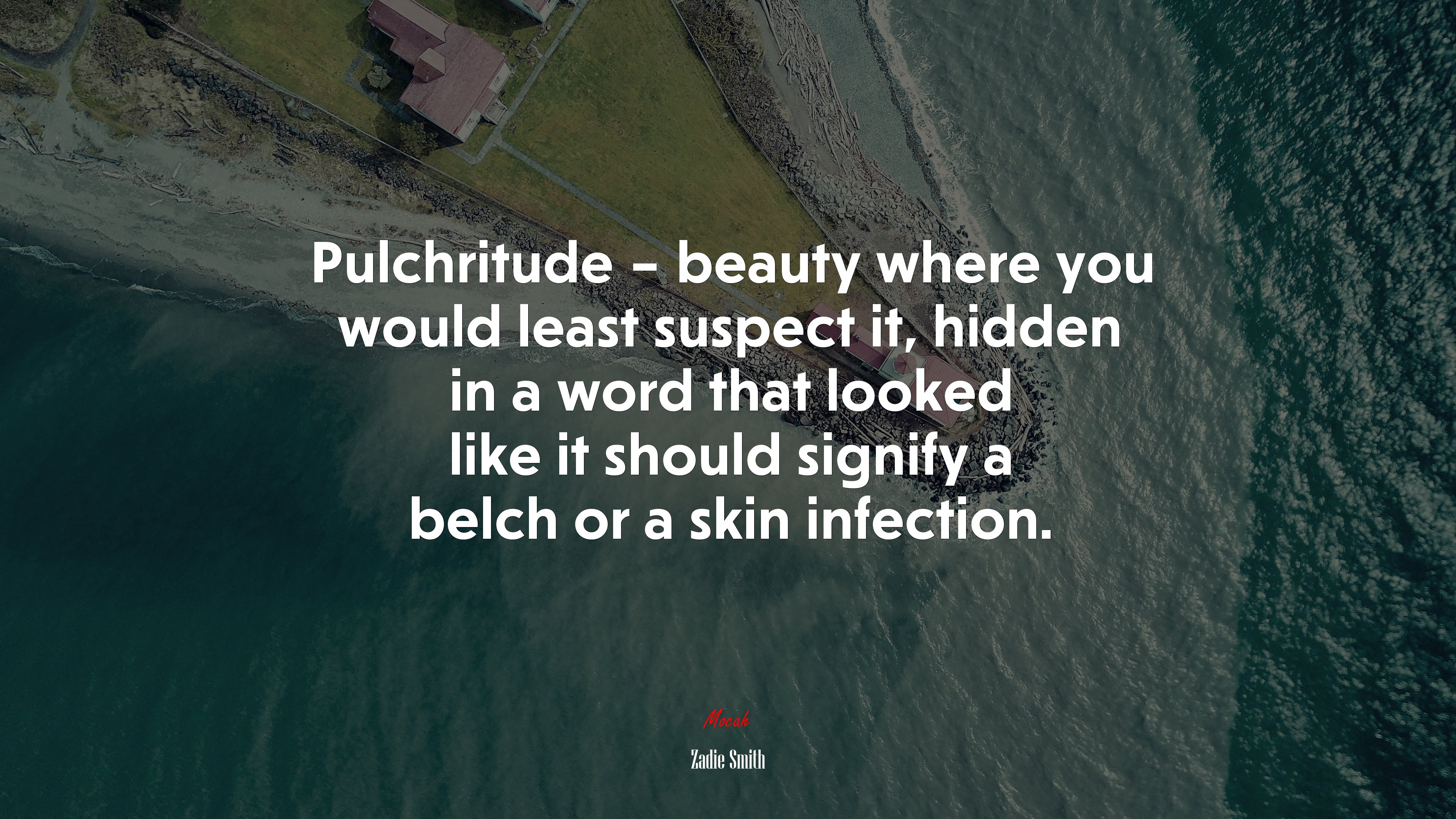 Pulchritude – beauty where you would least suspect it, hidden in a word that looked like it should signify a belch or a skin infection. | Zadie Smith quote HD Wallpaper