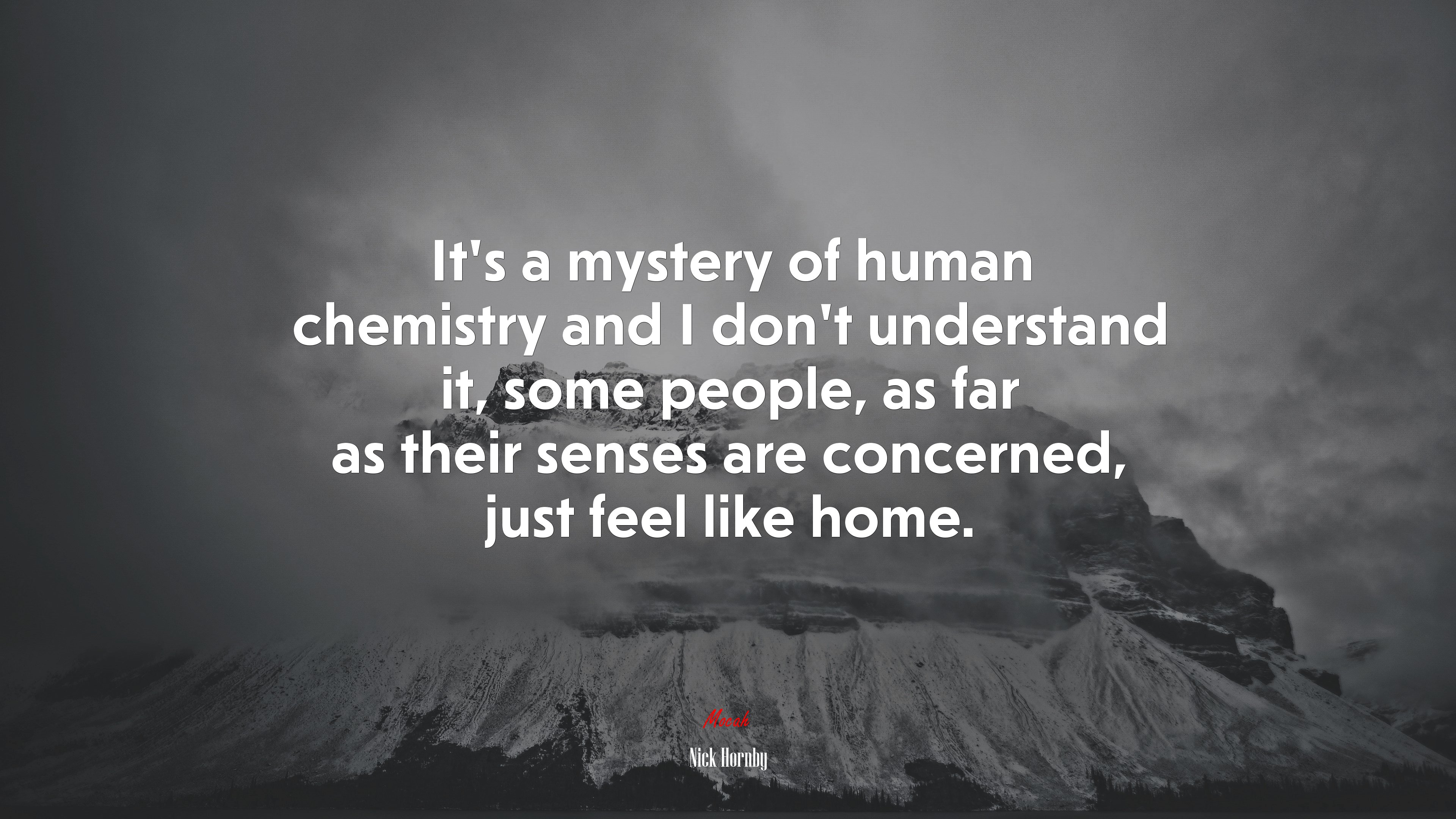 It’s a mystery of human chemistry and I don’t understand it, some people, as far as their senses are concerned, just feel like home. | Nick Hornby quote HD Wallpaper