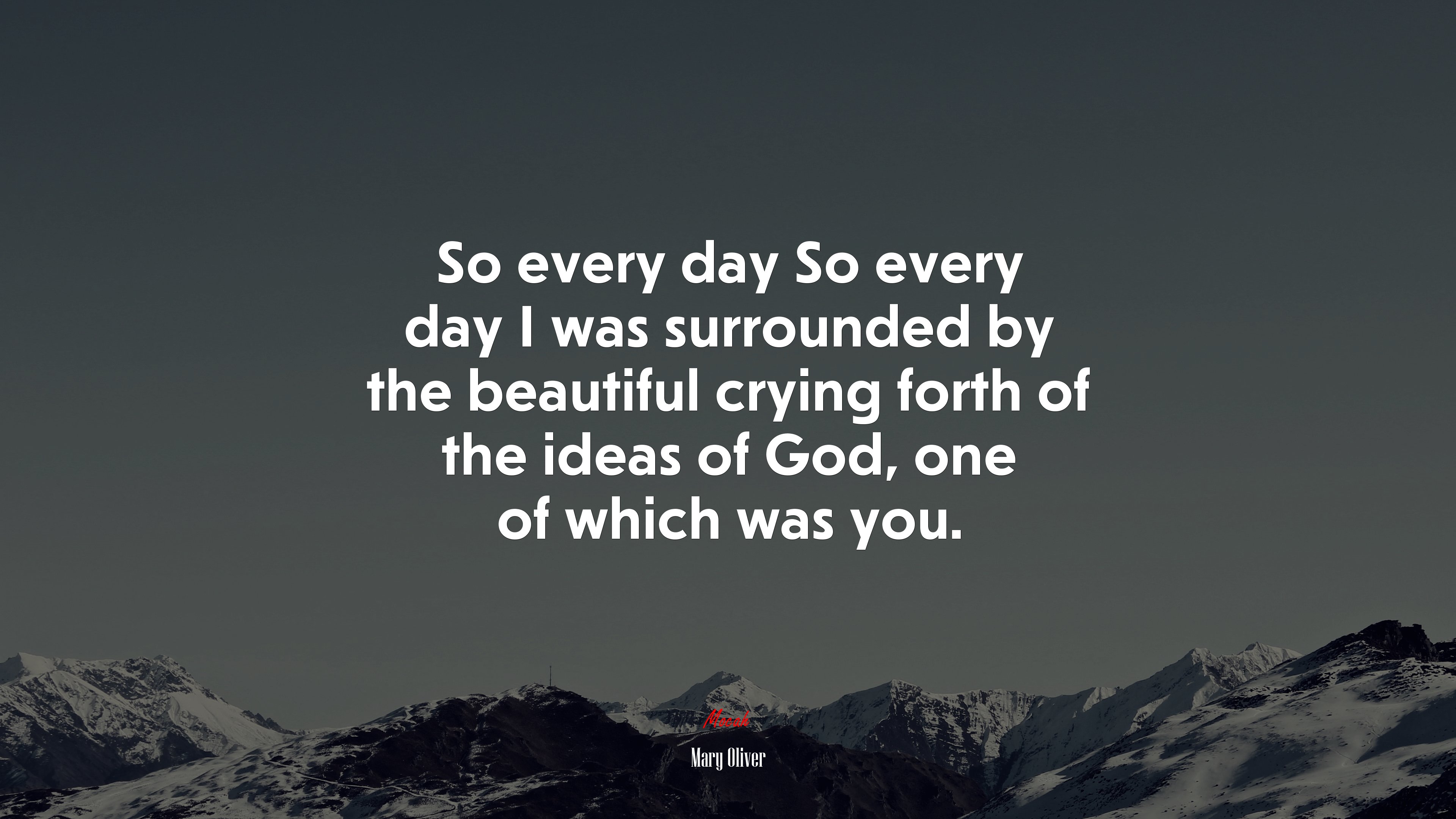 So every day So every day I was surrounded by the beautiful crying forth of the ideas of God, one of which was you. | Mary Oliver quote HD Wallpaper