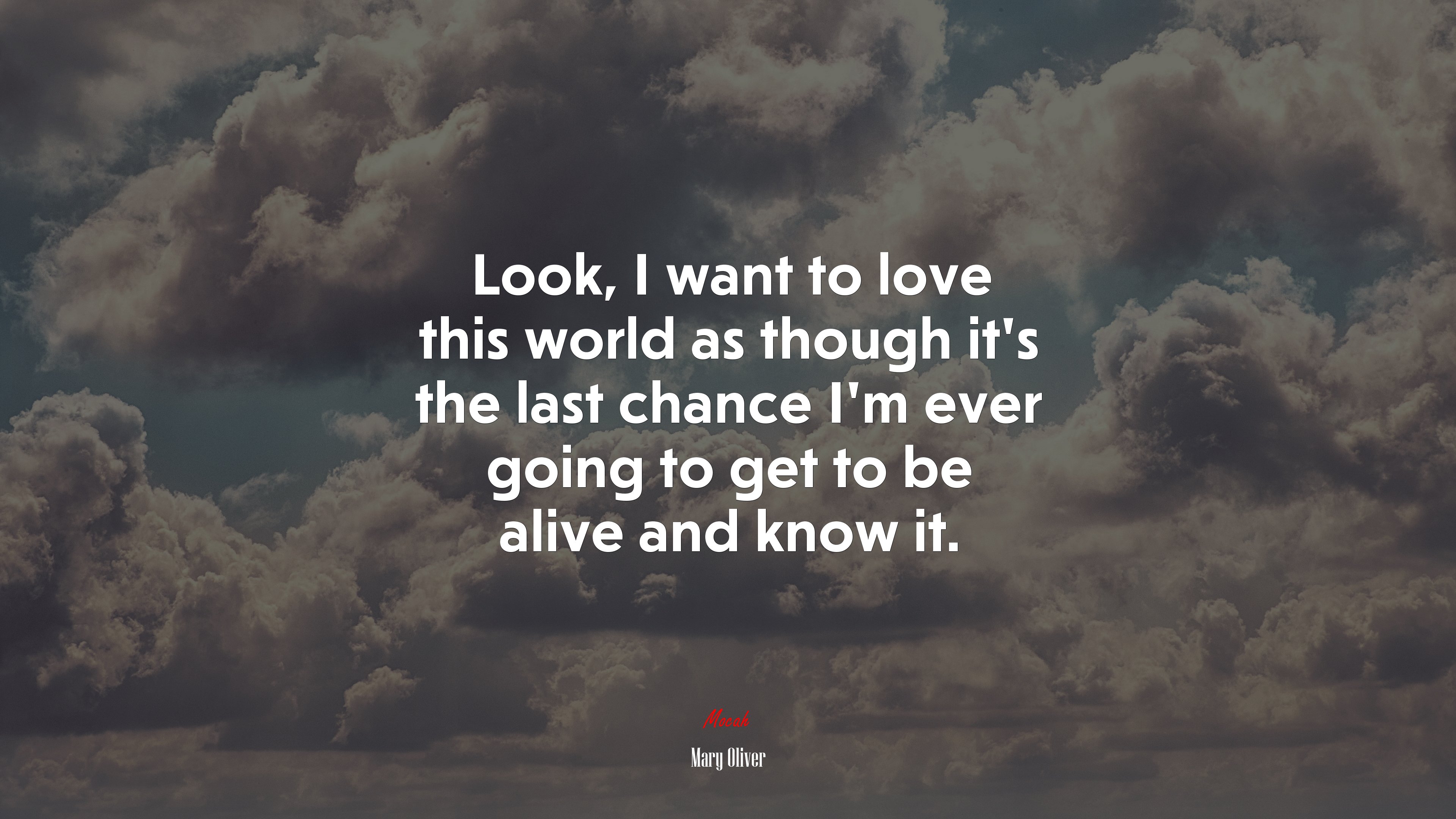 Look, I want to love this world as though it’s the last chance I’m ever going to get to be alive and know it. | Mary Oliver quote HD Wallpaper