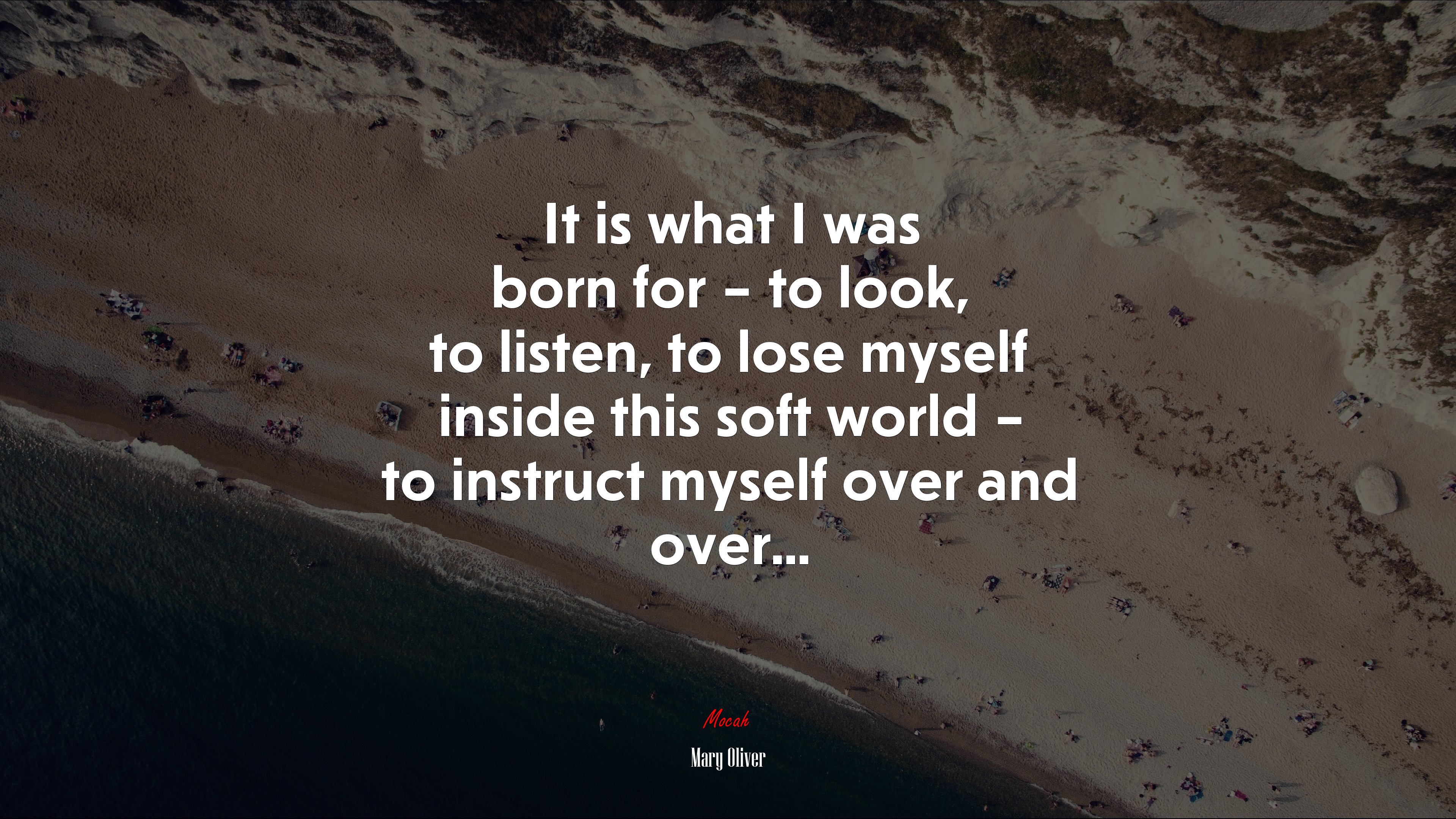 It is what I was born for – to look, to listen, to lose myself inside this soft world – to instruct myself over and over... | Mary Oliver quote HD Wallpaper