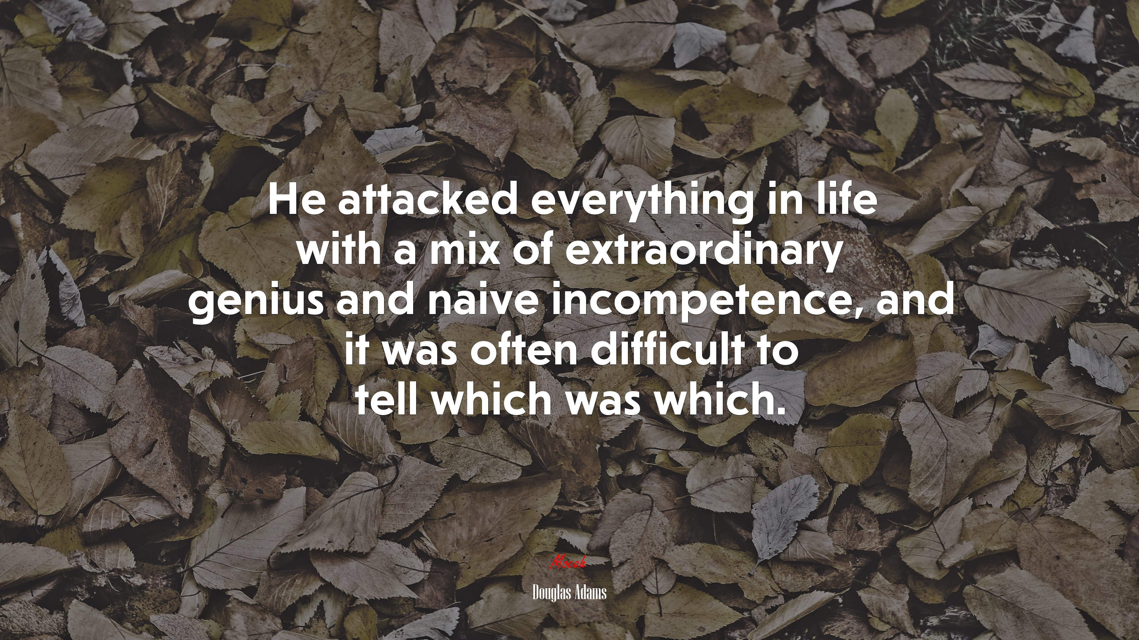 He attacked everything in life with a mix of extraordinary genius and naive incompetence, and it was often difficult to tell which was which. | Douglas Adams quote HD Wallpaper
