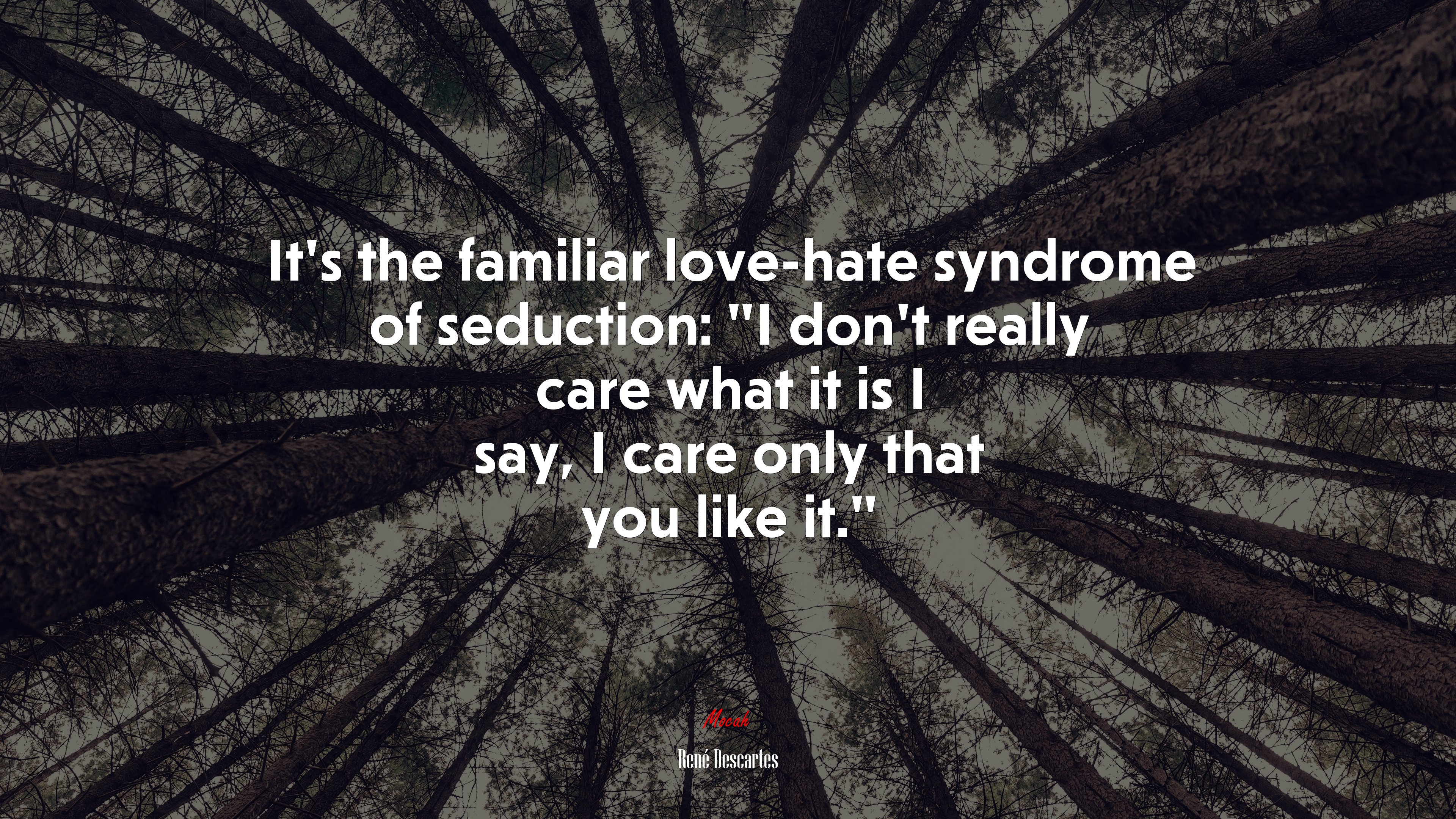 It’s the familiar love-hate syndrome of seduction: “I don’t really care what it is I say, I care only that you like it.” | René Descartes quote HD Wallpaper