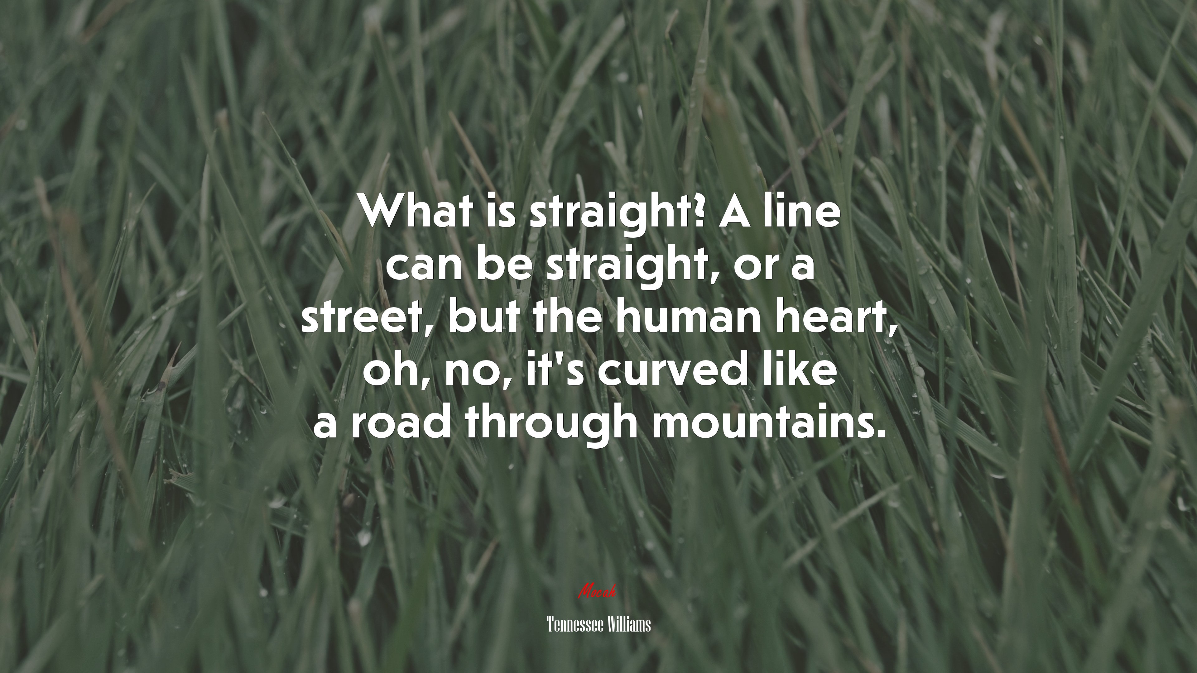 What is straight? A line can be straight, or a street, but the human heart, oh, no, it’s curved like a road through mountains. | Tennessee Williams quote HD Wallpaper