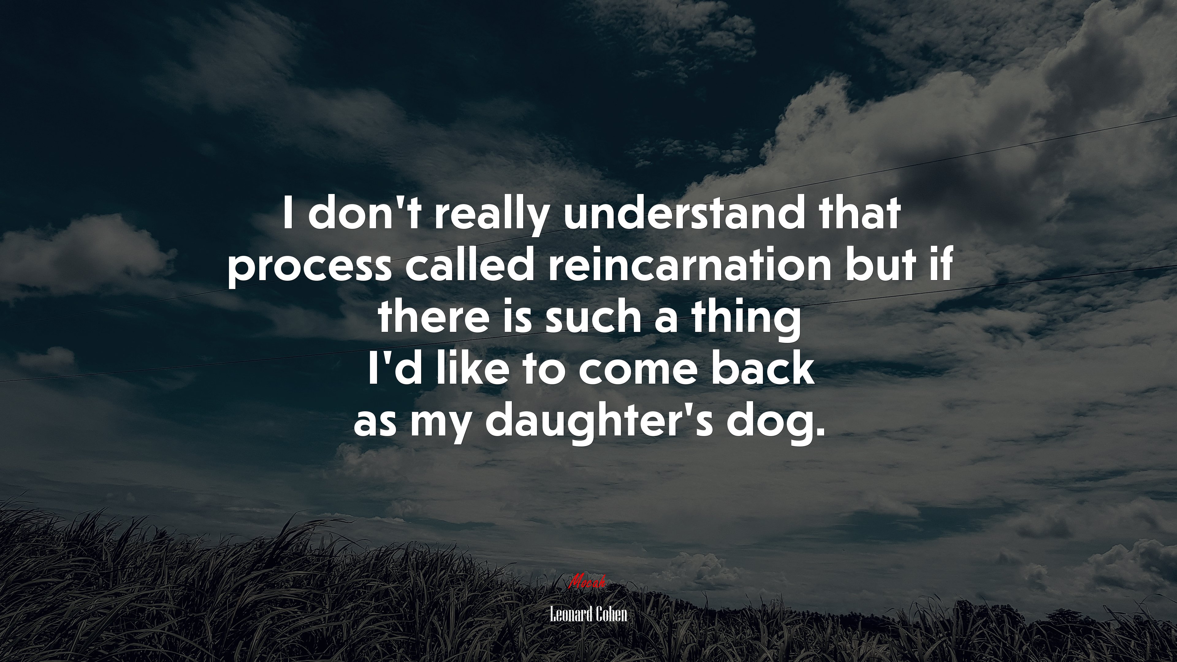 I don’t really understand that process called reincarnation but if there is such a thing I’d like to come back as my daughter’s dog. | Leonard Cohen quote HD Wallpaper