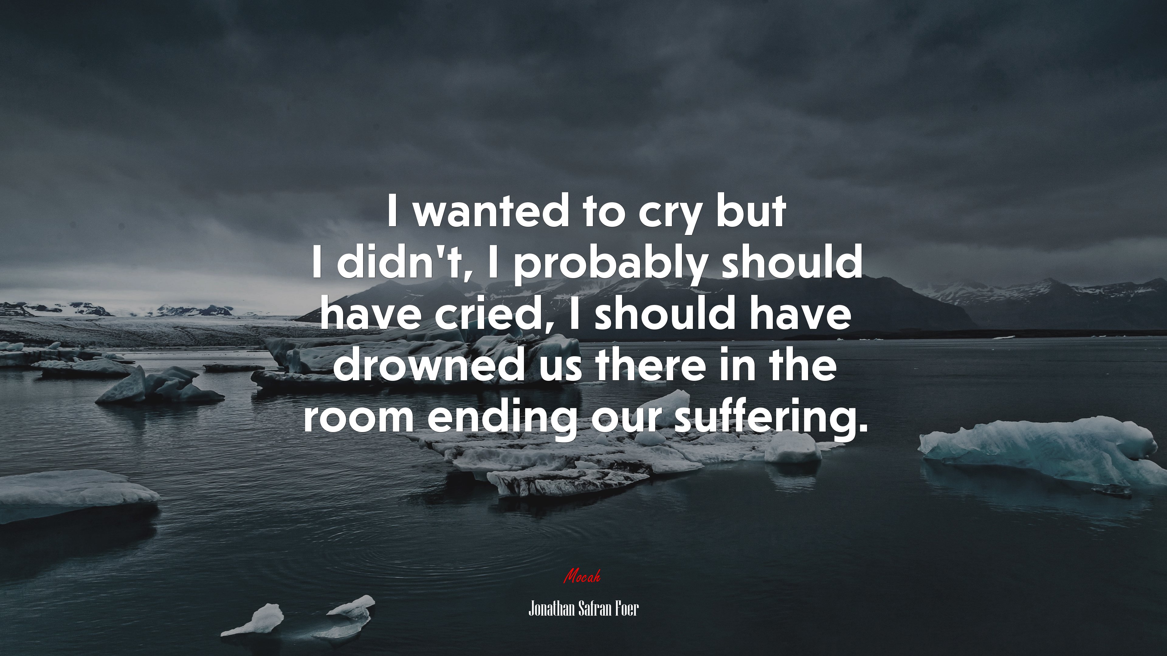 I wanted to cry but I didn’t, I probably should have cried, I should have drowned us there in the room ending our suffering. | Jonathan Safran Foer quote HD Wallpaper