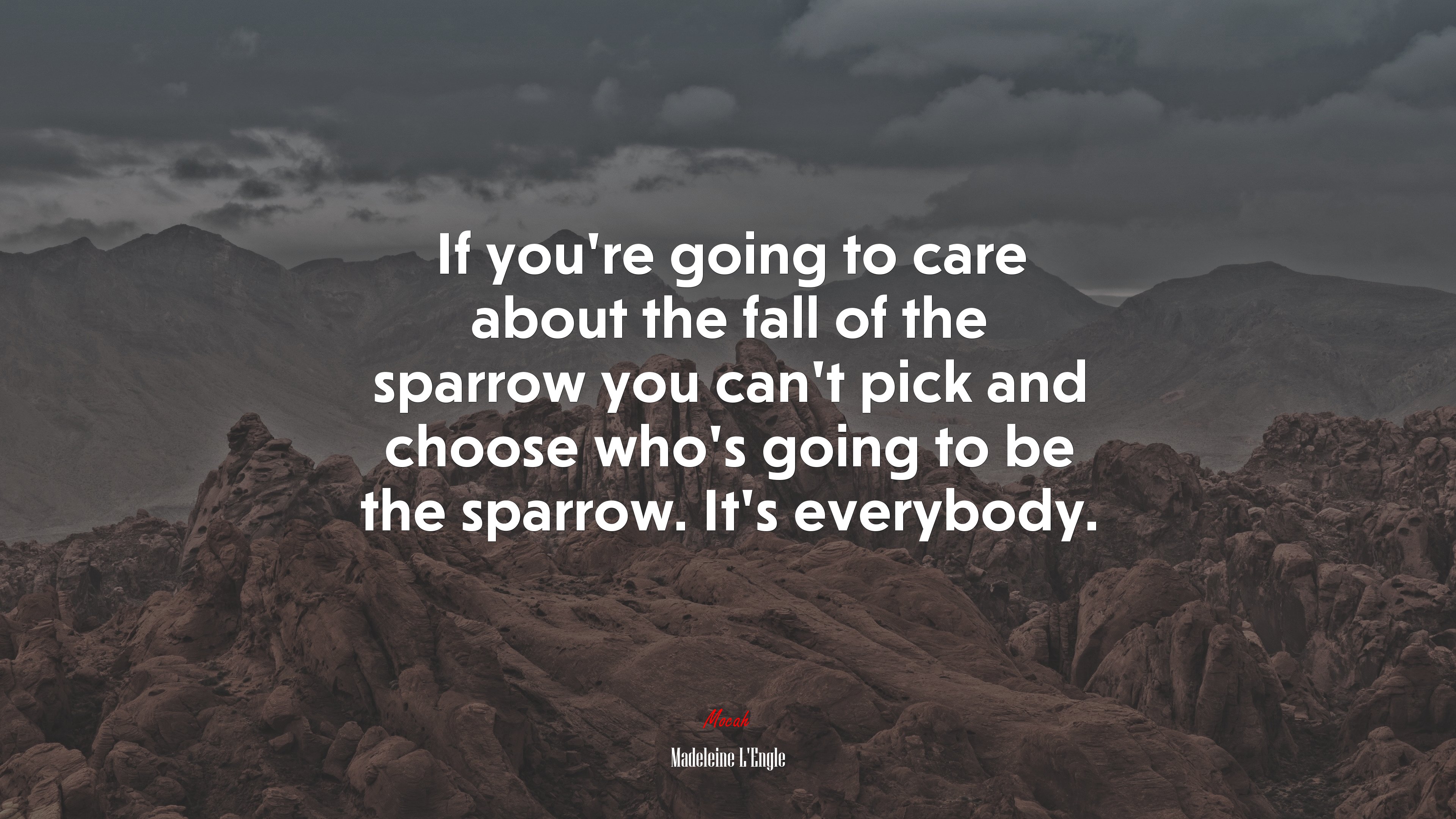 If you’re going to care about the fall of the sparrow you can’t pick and choose who’s going to be the sparrow. It’s everybody. | Madeleine LEngle quote HD Wallpaper