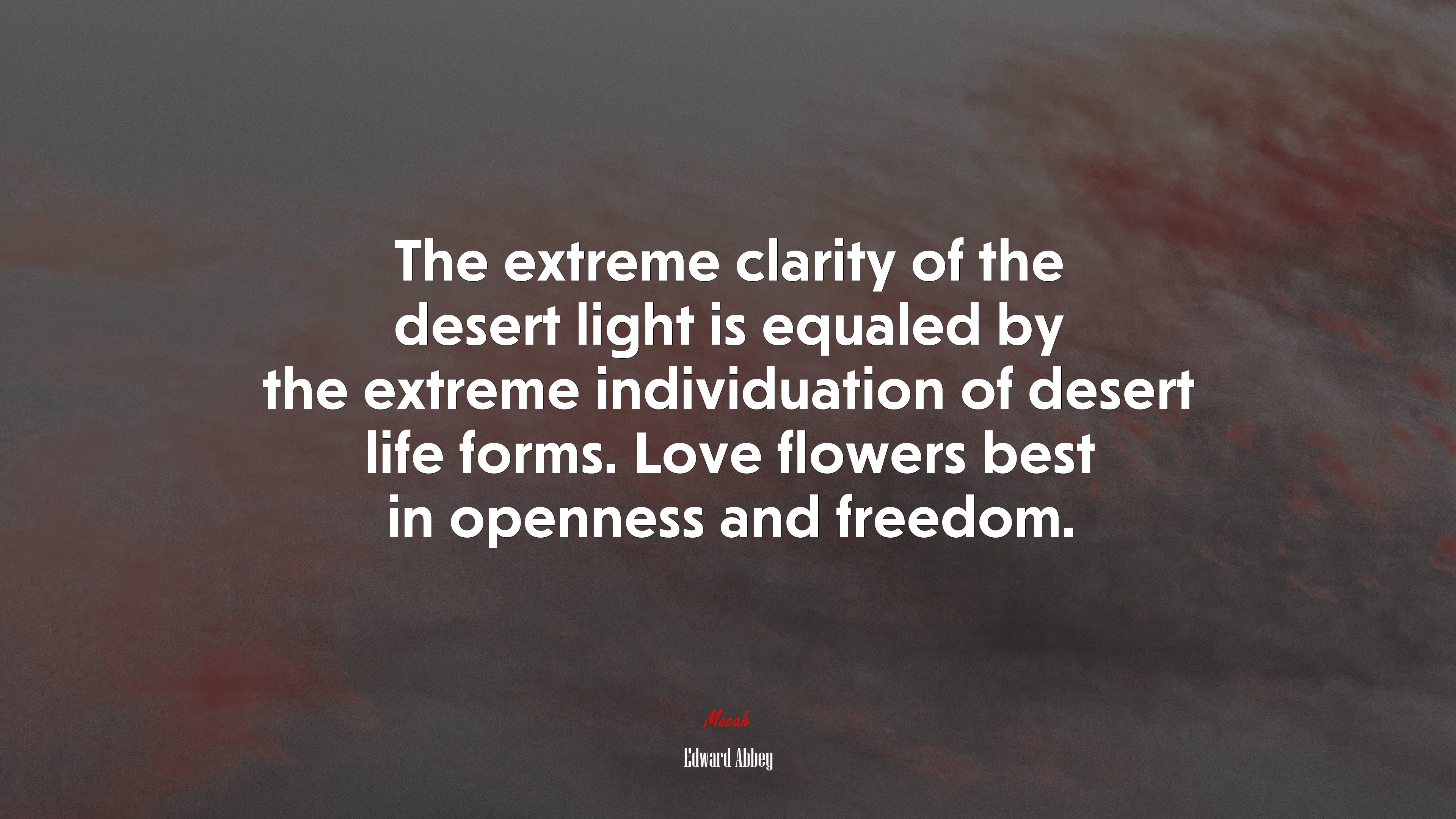 The extreme clarity of the desert light is equaled by the extreme individuation of desert life forms. Love flowers best in openness and freedom. | Edward Abbey quote HD Wallpaper