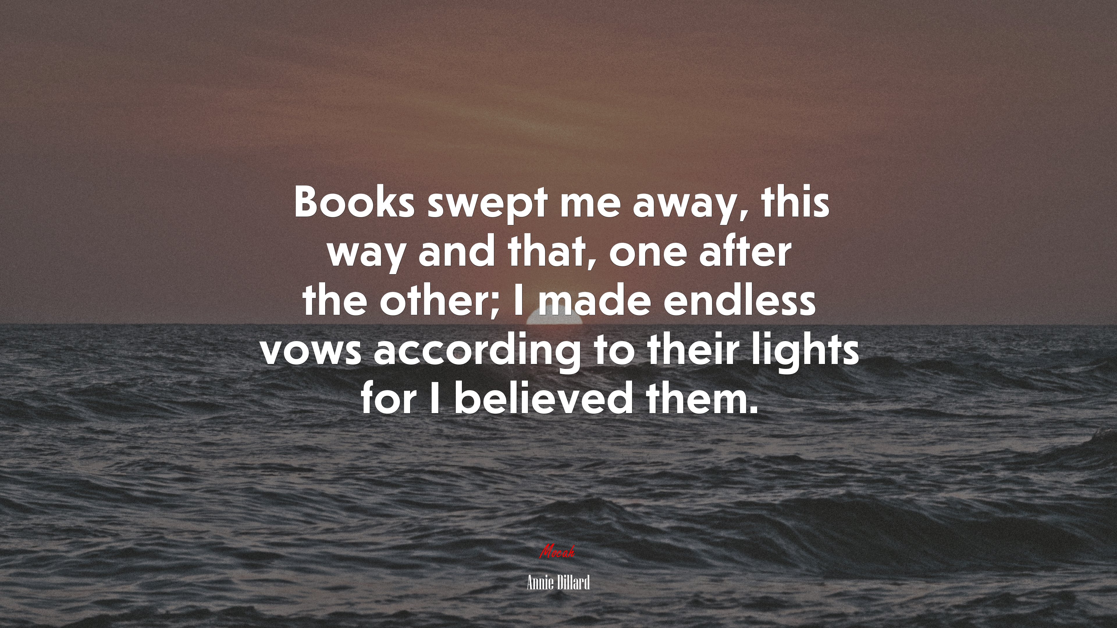 Books swept me away, this way and that, one after the other; I made endless vows according to their lights for I believed them. | Annie Dillard quote HD Wallpaper