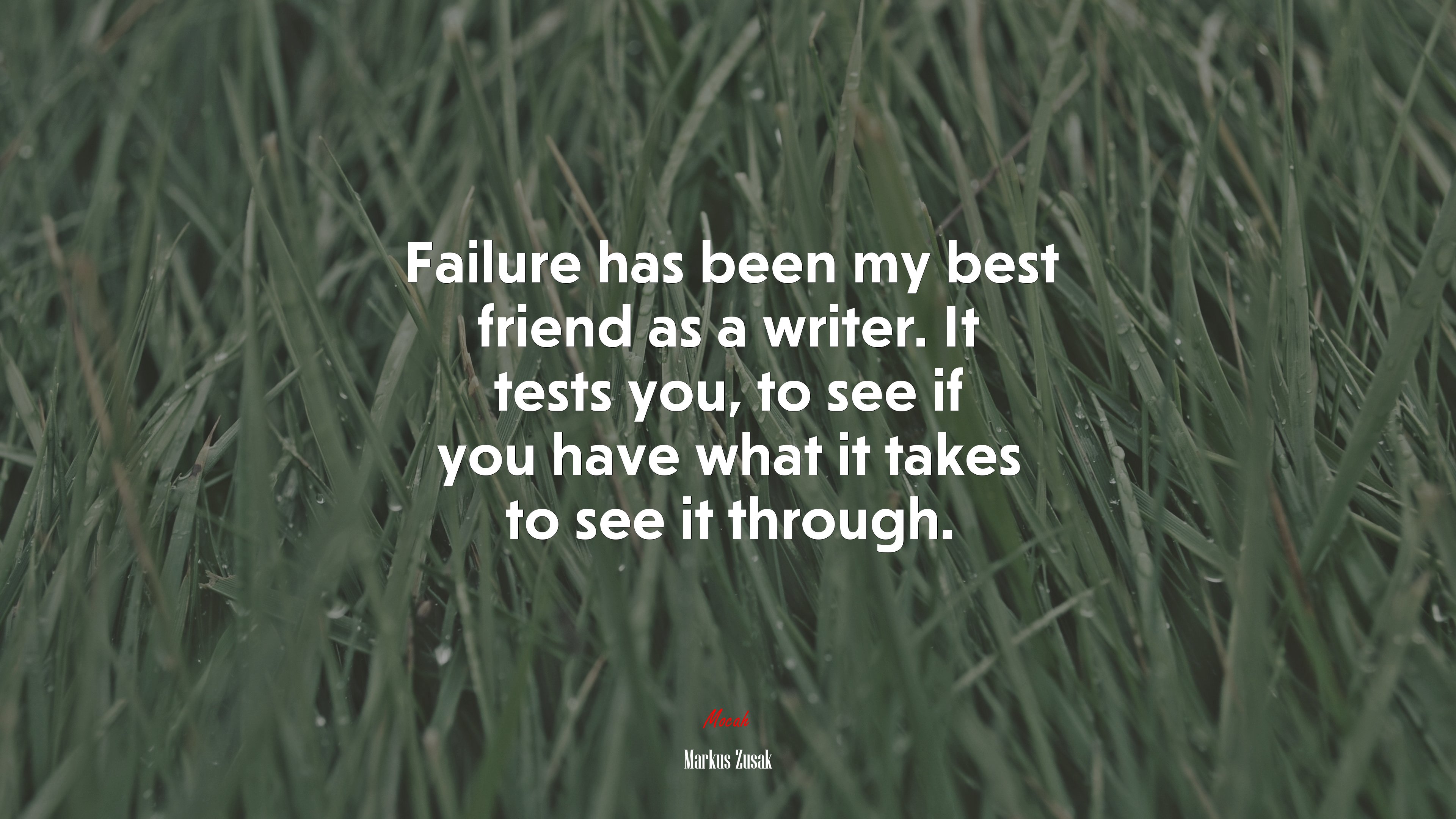 Failure has been my best friend as a writer. It tests you, to see if you have what it takes to see it through. | Markus Zusak quote HD Wallpaper