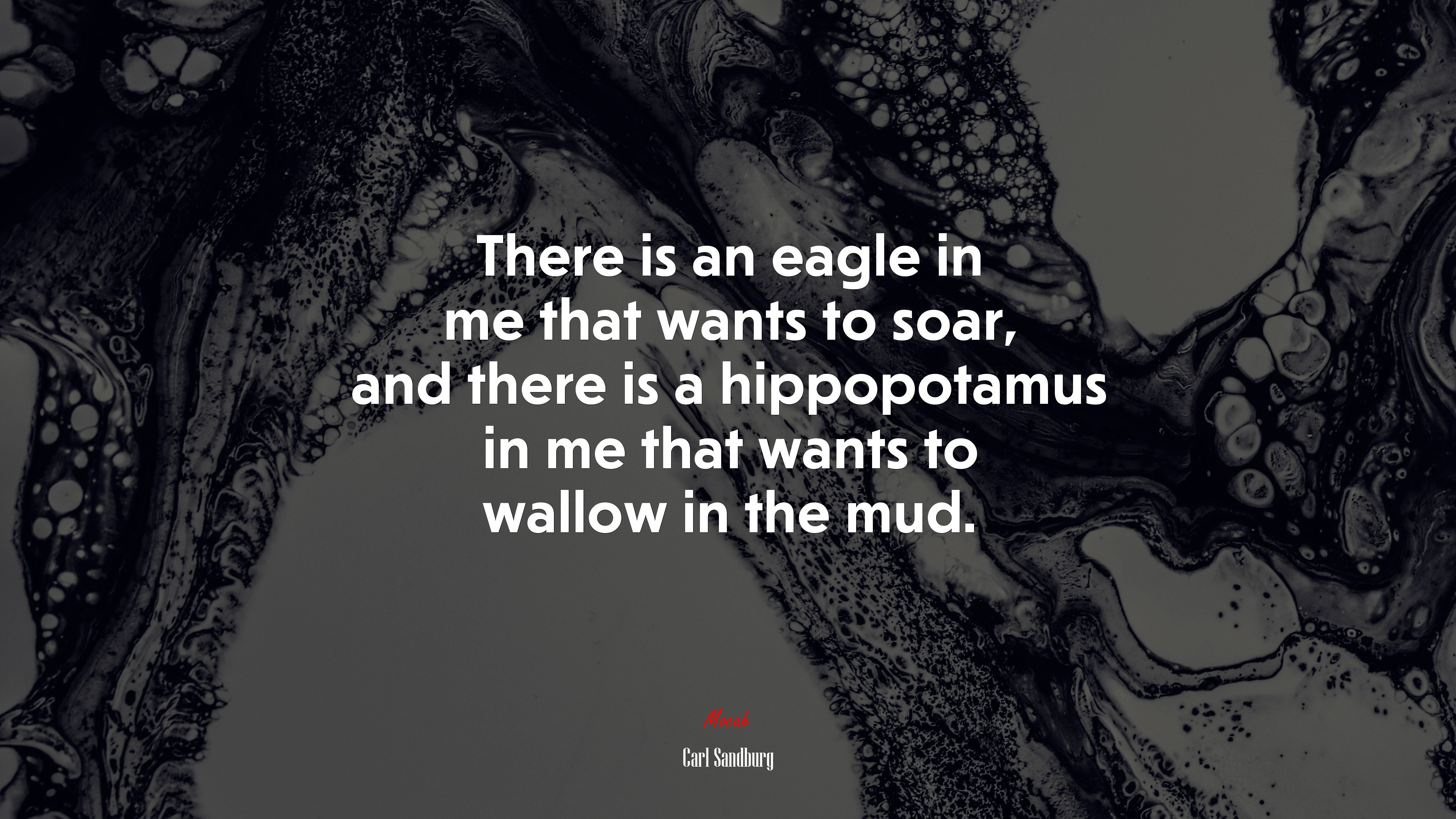 There is an eagle in me that wants to soar, and there is a hippopotamus in me that wants to wallow in the mud. | Carl Sandburg quote HD Wallpaper