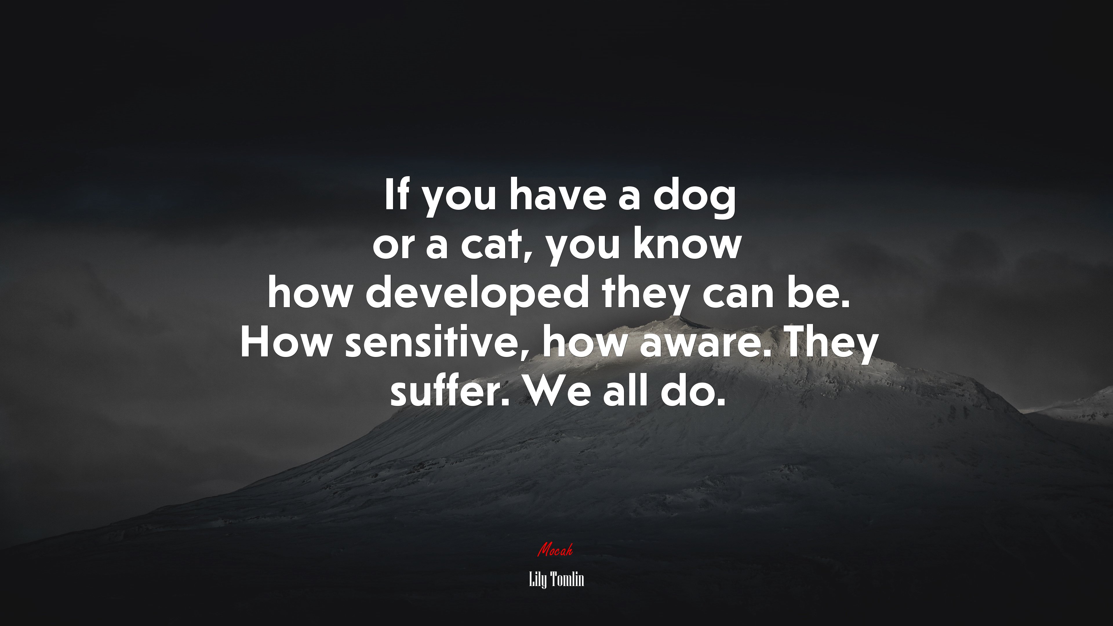 If you have a dog or a cat, you know how developed they can be. How sensitive, how aware. They suffer. We all do. | Lily Tomlin quote HD Wallpaper