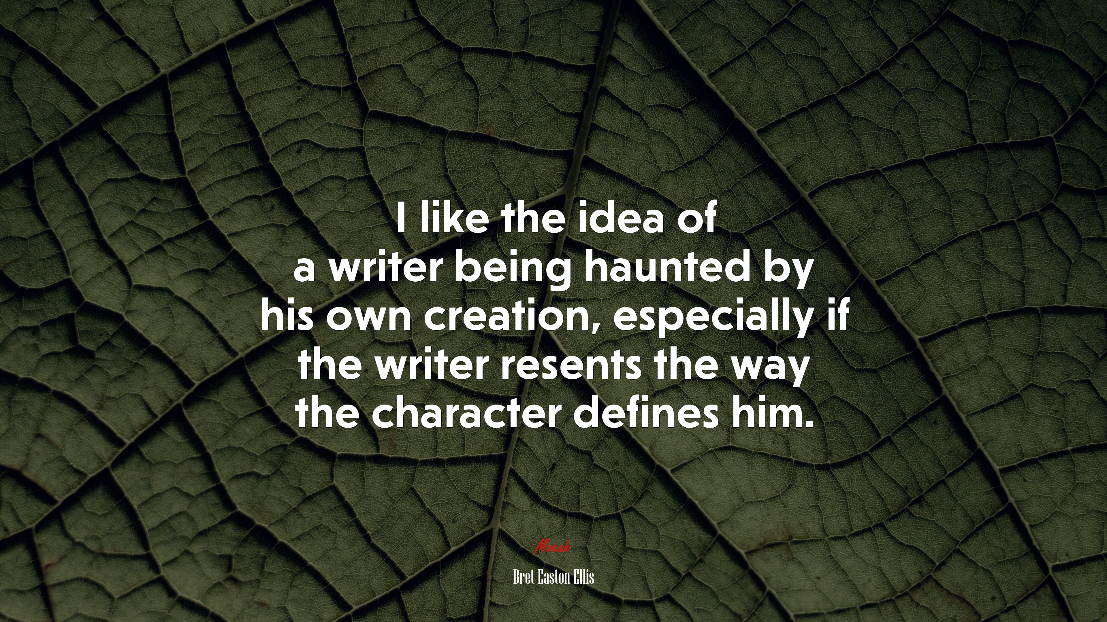 I like the idea of a writer being haunted by his own creation, especially if the writer resents the way the character defines him. | Bret Easton Ellis quote HD Wallpaper