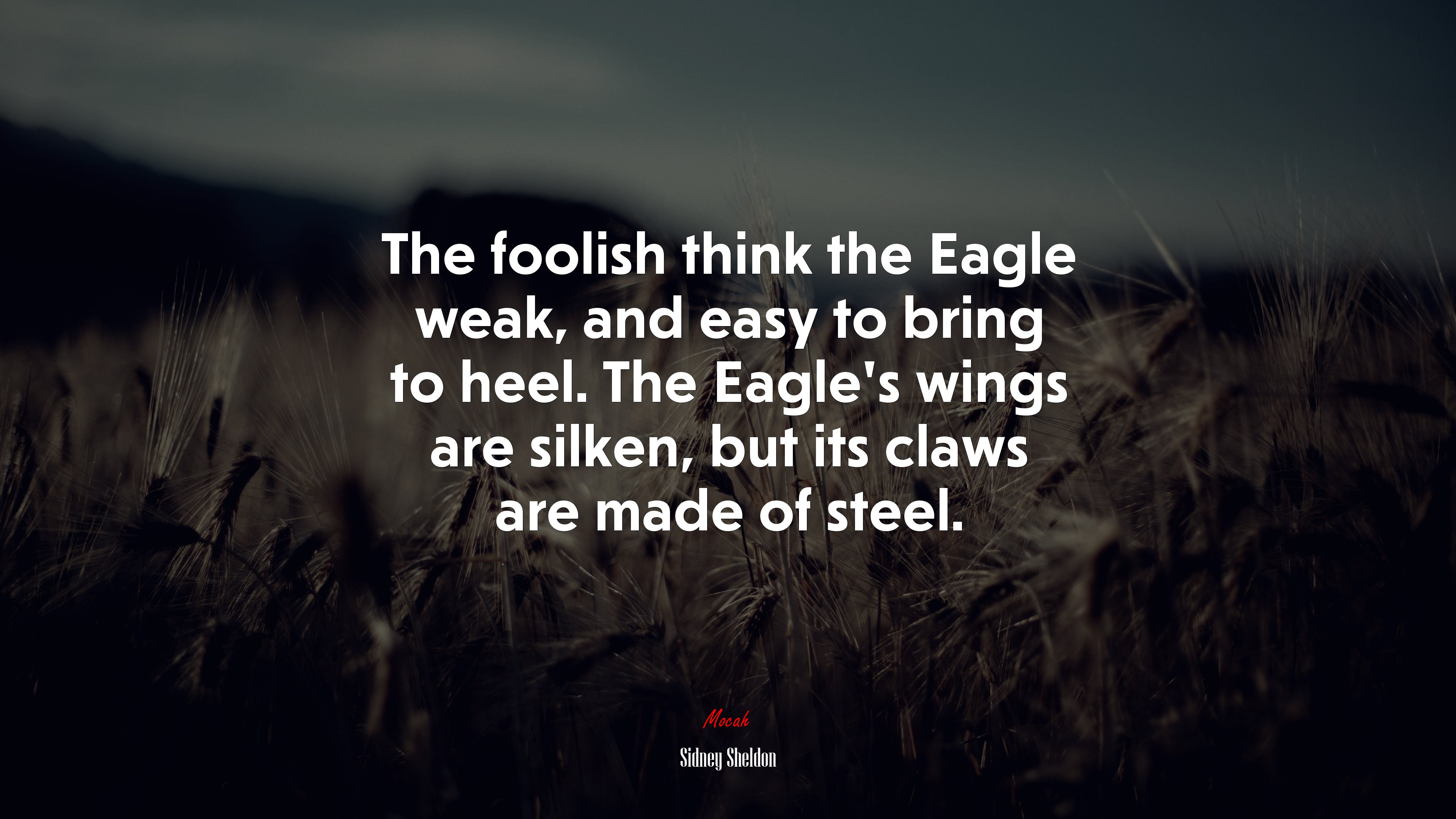 The foolish think the Eagle weak, and easy to bring to heel. The Eagle’s wings are silken, but its claws are made of steel. | Sidney Sheldon quote HD Wallpaper