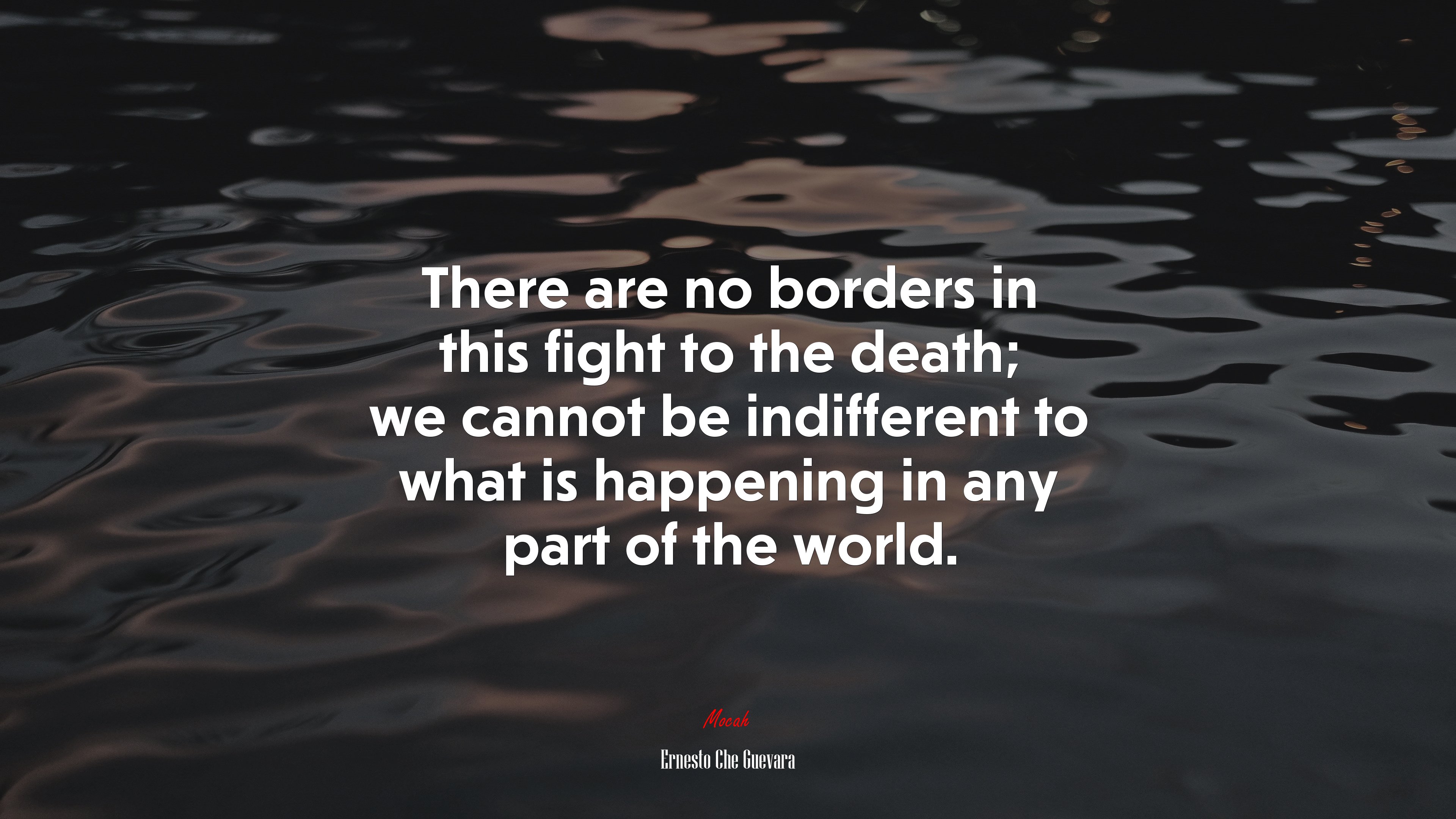 There are no borders in this fight to the death; we cannot be indifferent to what is happening in any part of the world. | Ernesto Che Guevara quote HD Wallpaper