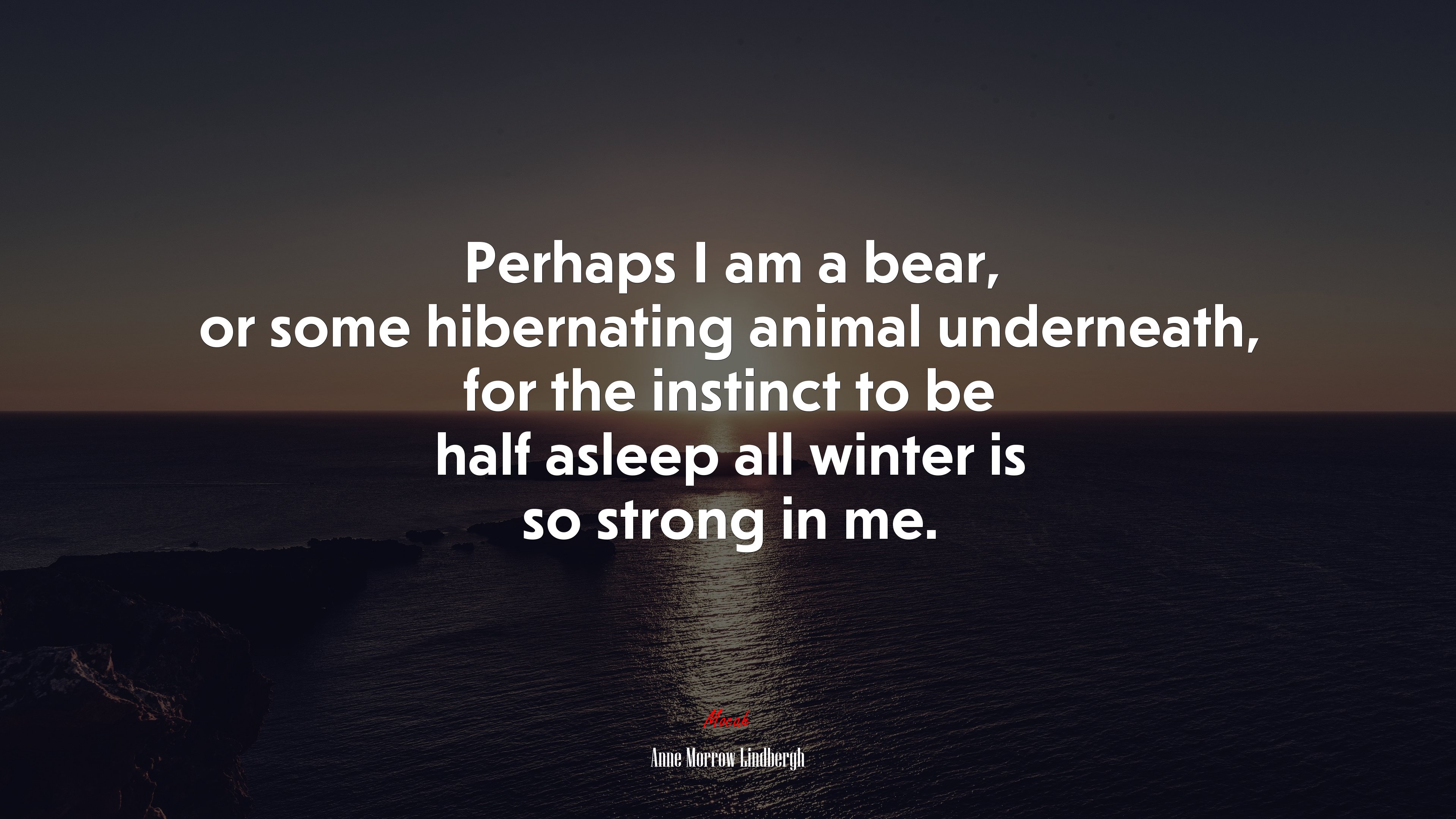 Perhaps I am a bear, or some hibernating animal underneath, for the instinct to be half asleep all winter is so strong in me. | Anne Morrow Lindbergh quote HD Wallpaper