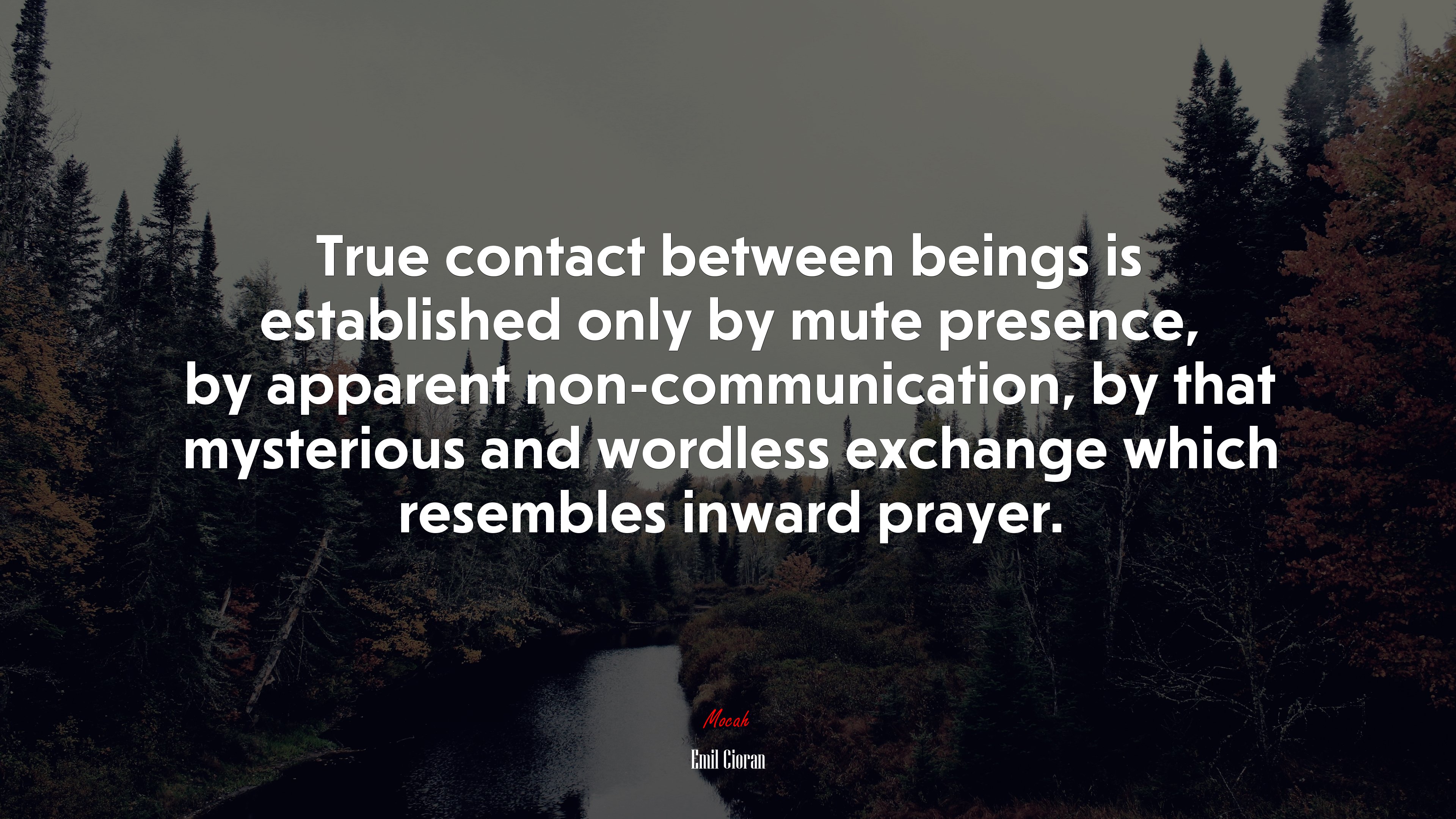 True contact between beings is established only by mute presence, by apparent non-communication, by that mysterious and wordless exchange which resembles inward prayer. | Emil Cioran quote HD Wallpaper