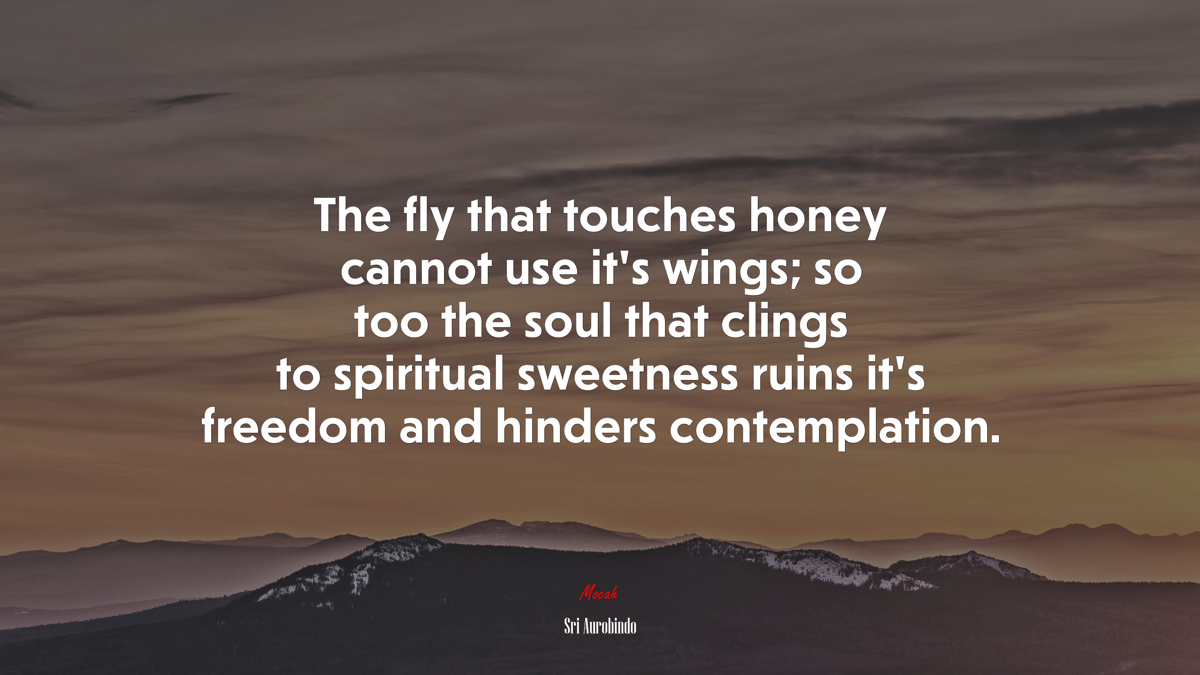 The fly that touches honey cannot use it’s wings; so too the soul that clings to spiritual sweetness ruins it’s freedom and hinders contemplation. | Sri Aurobindo quote HD Wallpaper