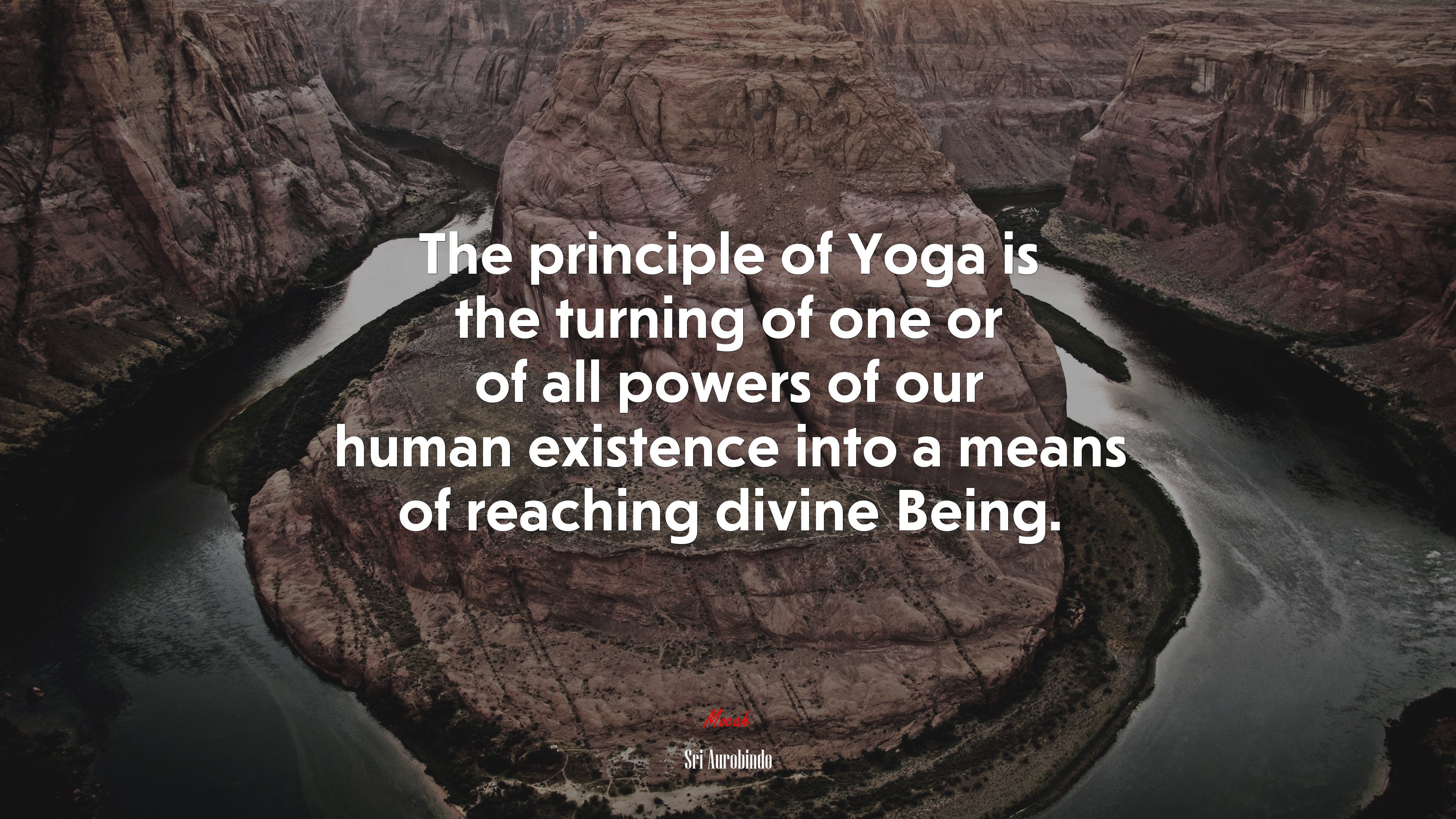 The principle of Yoga is the turning of one or of all powers of our human existence into a means of reaching divine Being. | Sri Aurobindo quote HD Wallpaper