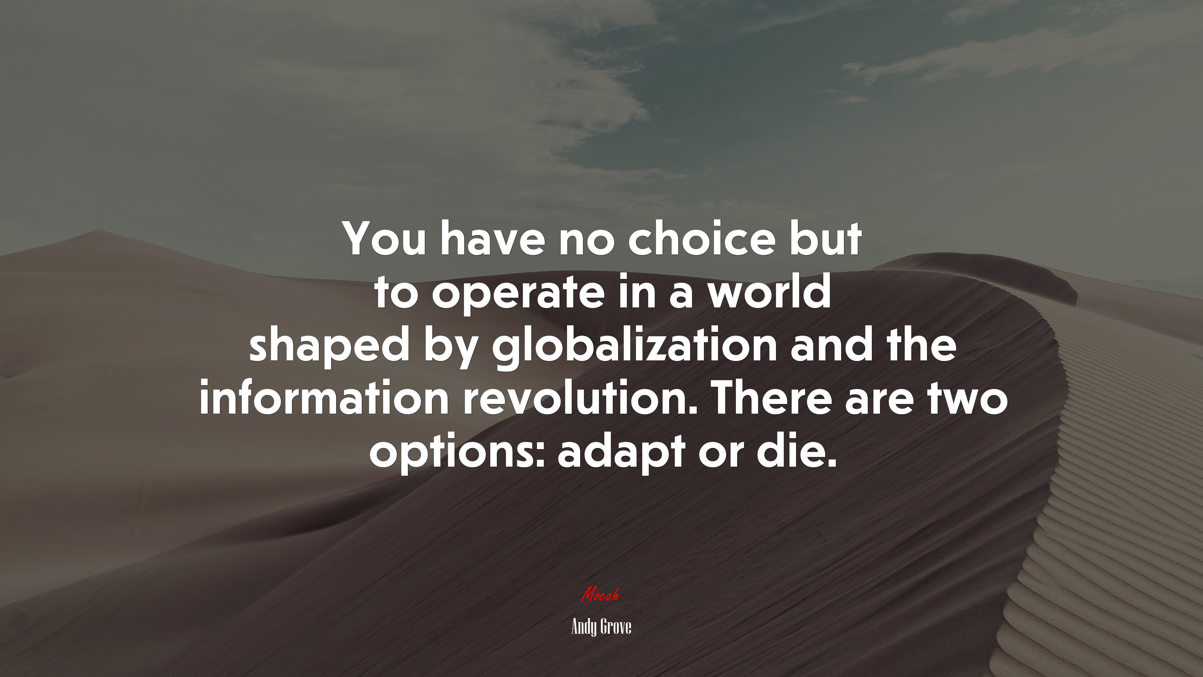 You have no choice but to operate in a world shaped by globalization and the information revolution. There are two options: adapt or die. | Andy Grove quote HD Wallpaper
