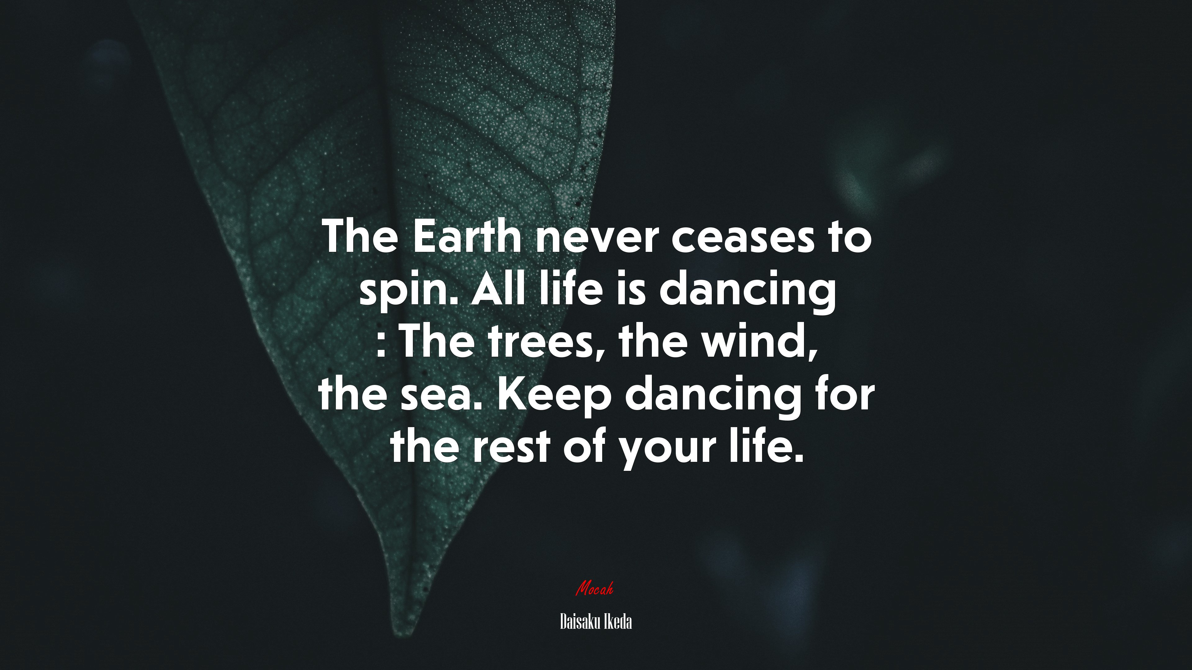The Earth never ceases to spin. All life is dancing : The trees, the wind, the sea. Keep dancing for the rest of your life. | Daisaku Ikeda quote HD Wallpaper