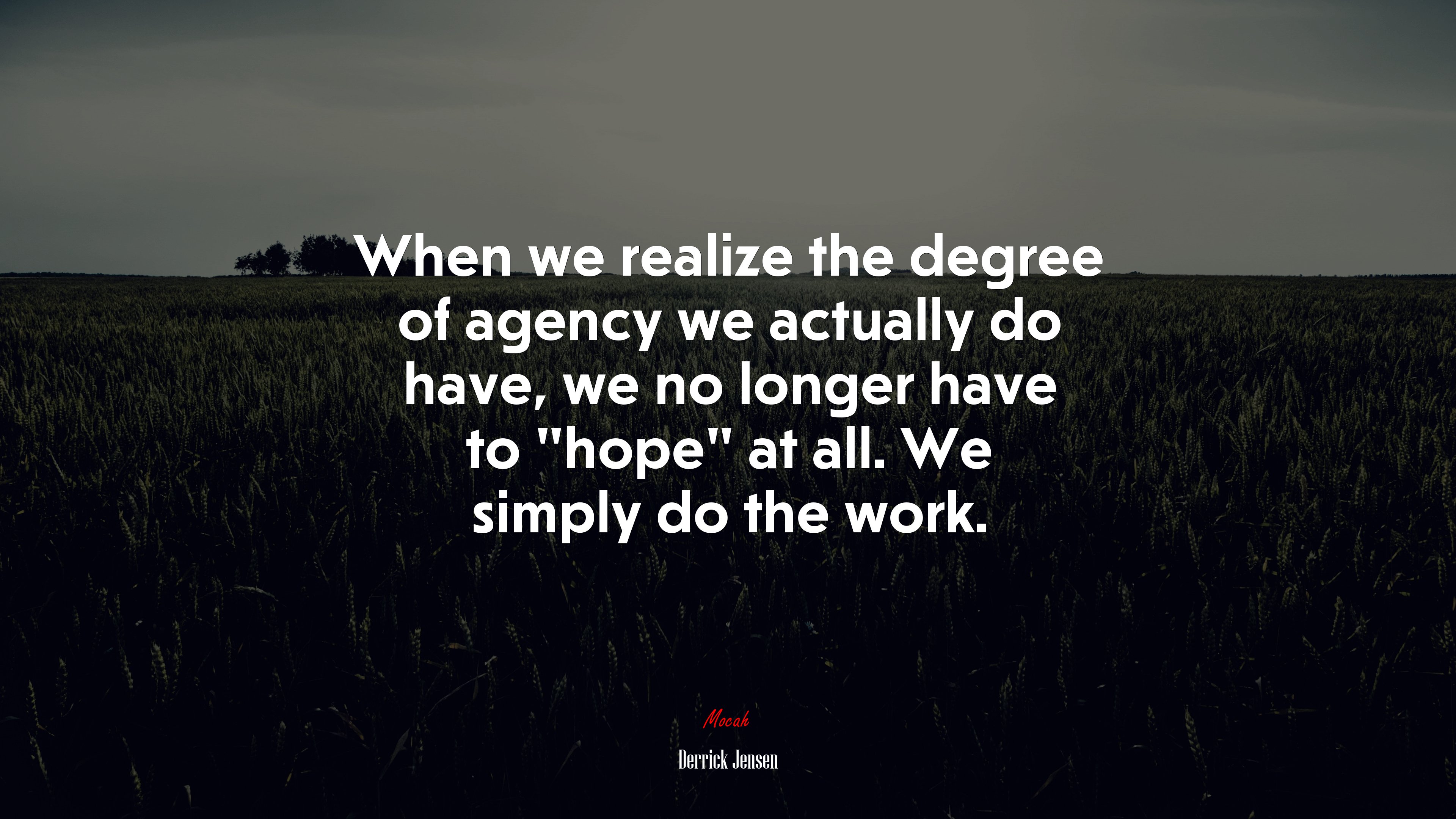 When we realize the degree of agency we actually do have, we no longer have to “hope” at all. We simply do the work. | Derrick Jensen quote HD Wallpaper