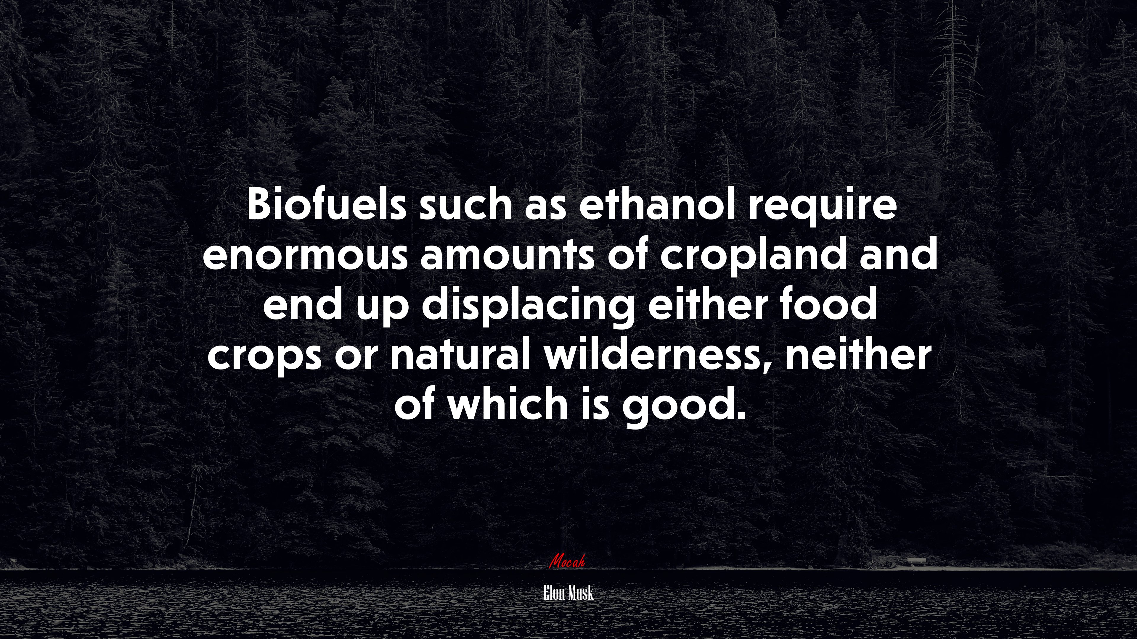 Biofuels such as ethanol require enormous amounts of cropland and end up displacing either food crops or natural wilderness, neither of which is good. | Elon Musk quote HD Wallpaper