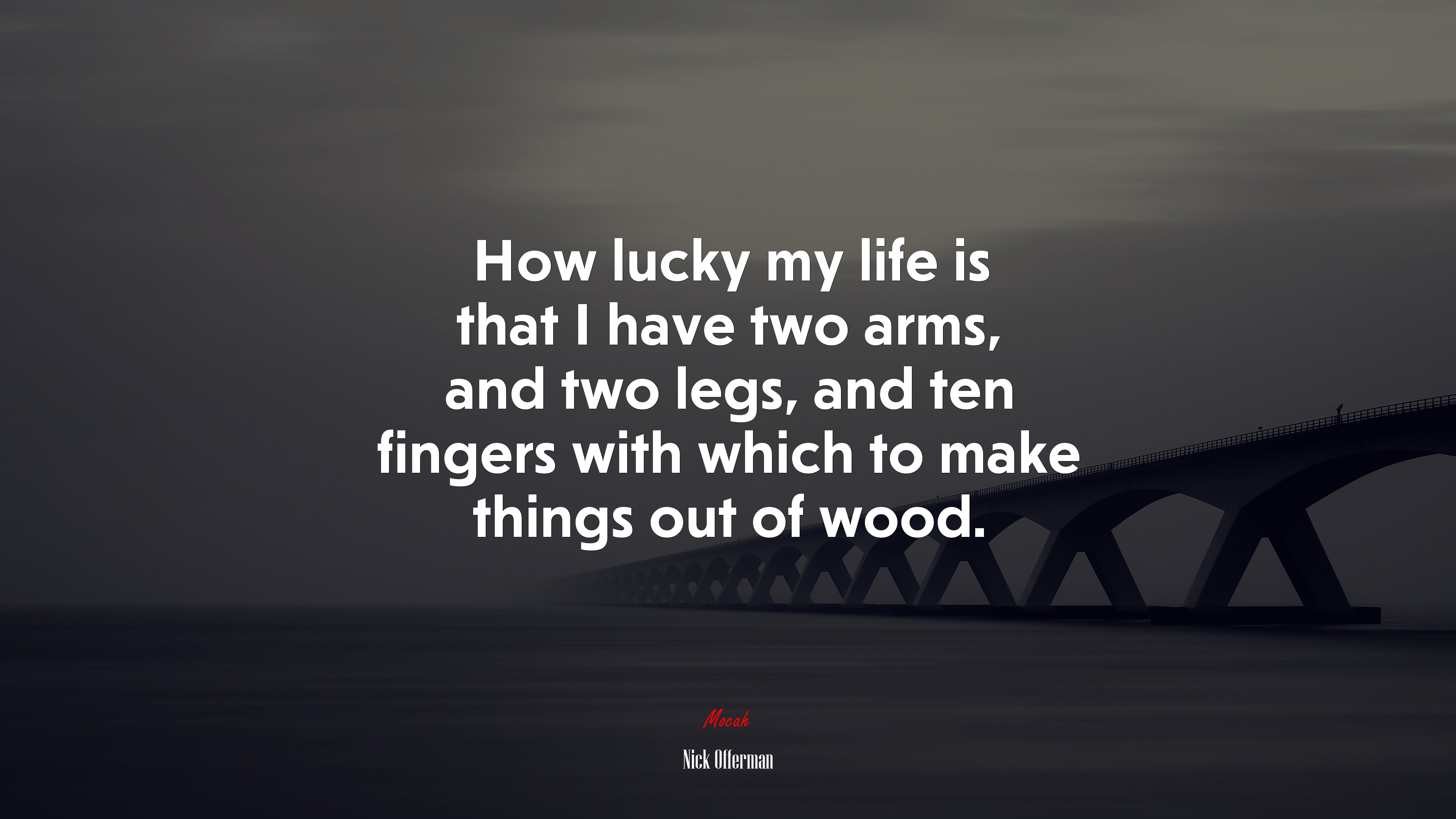 How lucky my life is that I have two arms, and two legs, and ten fingers with which to make things out of wood. | Nick Offerman quote HD Wallpaper