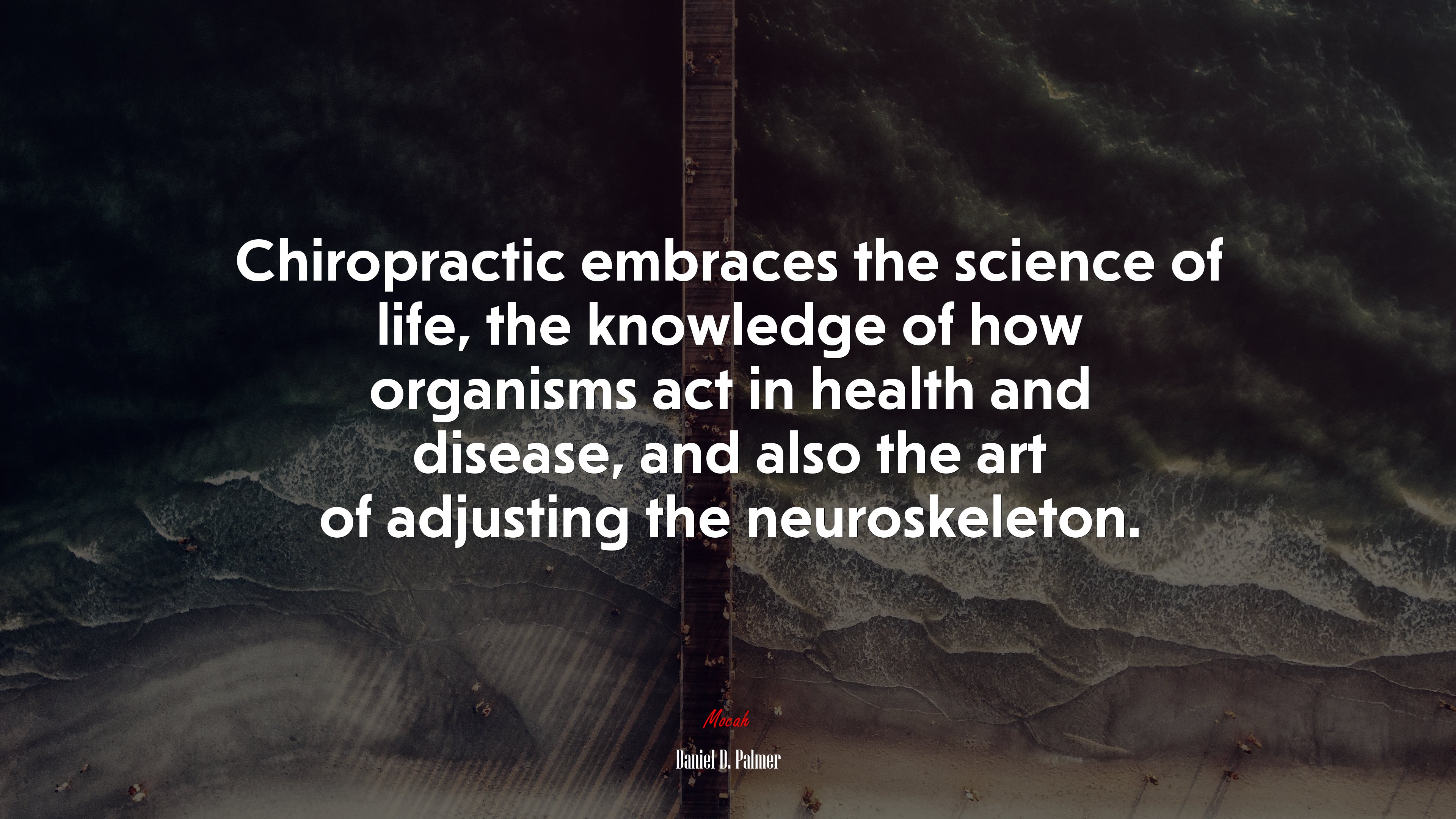 Chiropractic embraces the science of life, the knowledge of how organisms act in health and disease, and also the art of adjusting the neuroskeleton. | Daniel D. Palmer quote HD Wallpaper