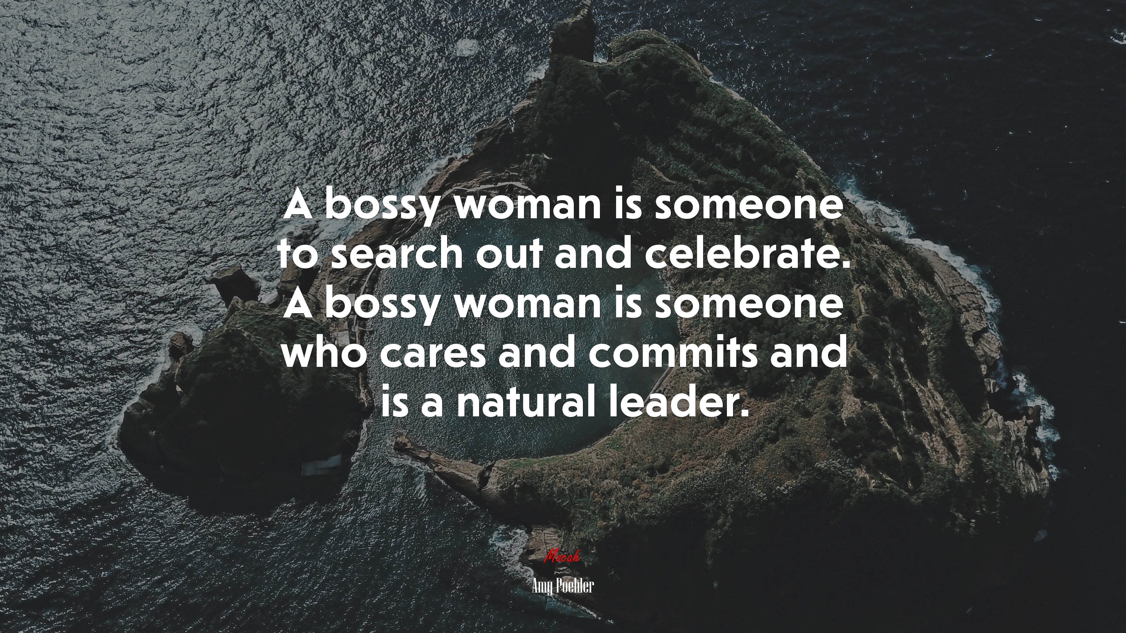 A bossy woman is someone to search out and celebrate. A bossy woman is someone who cares and commits and is a natural leader. | Amy Poehler quote HD Wallpaper