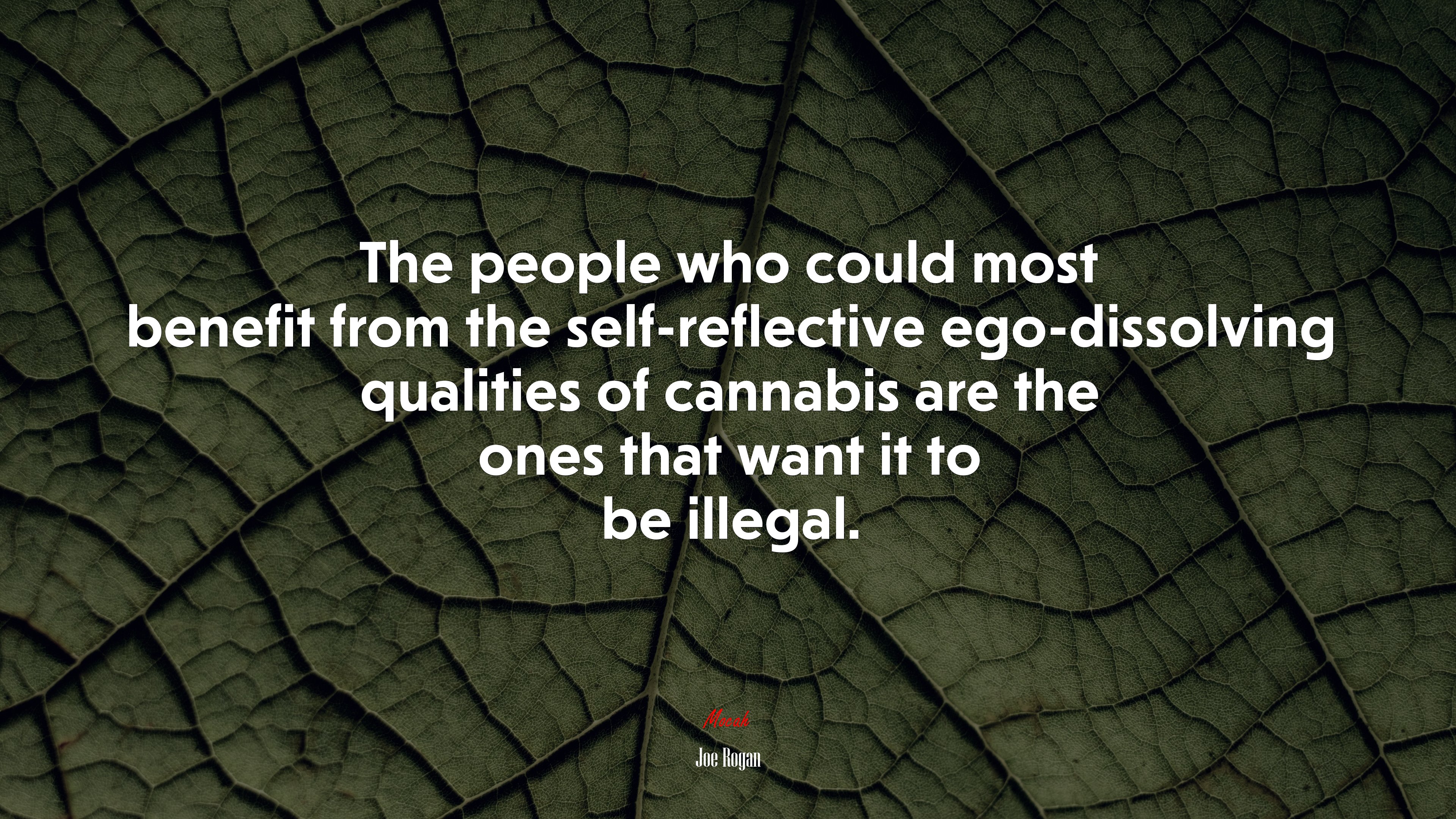 The people who could most benefit from the self-reflective ego-dissolving qualities of cannabis are the ones that want it to be illegal. | Joe Rogan quote HD Wallpaper