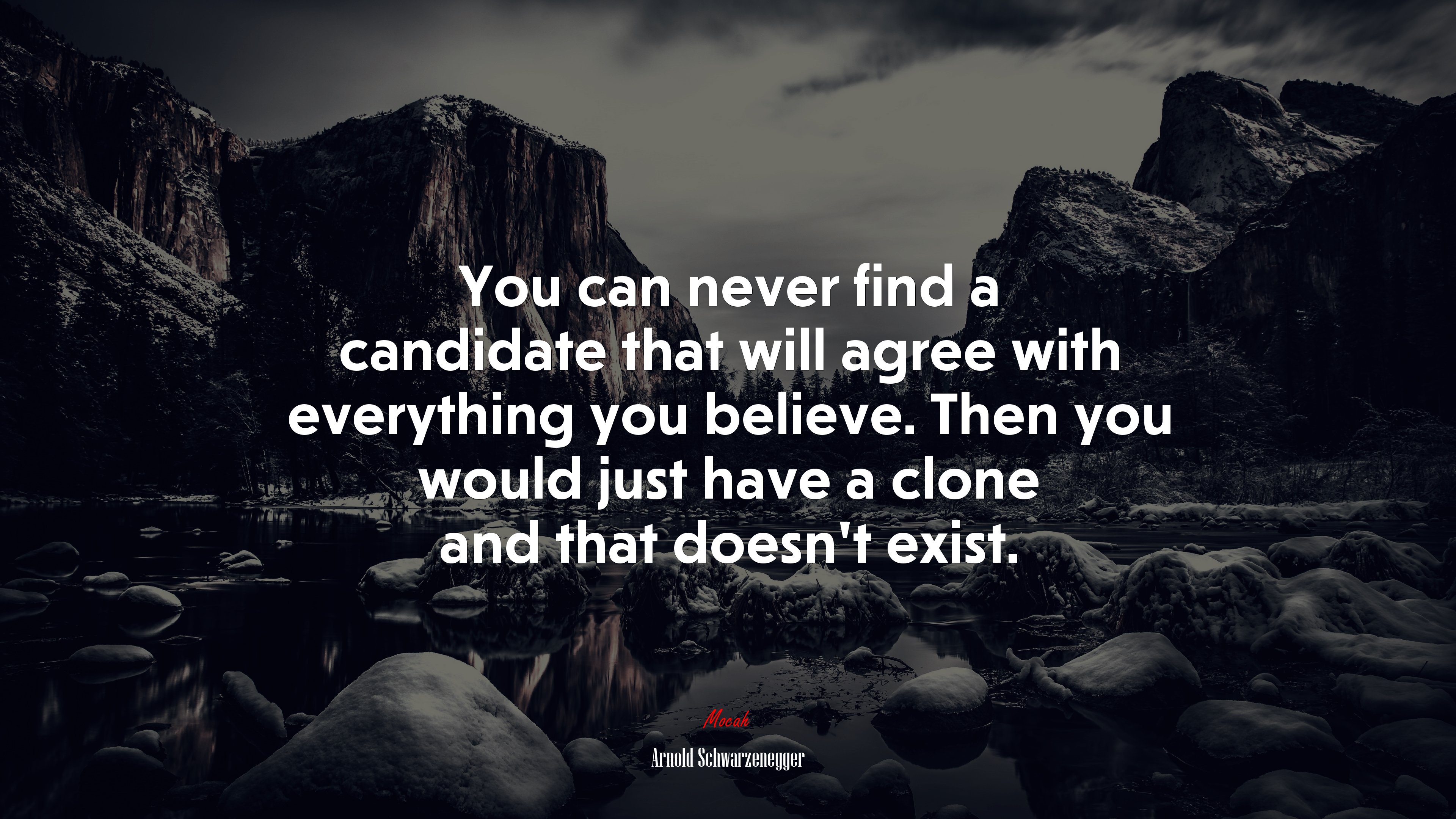 You can never find a candidate that will agree with everything you believe. Then you would just have a clone and that doesn’t exist. | Arnold Schwarzenegger quote HD Wallpaper