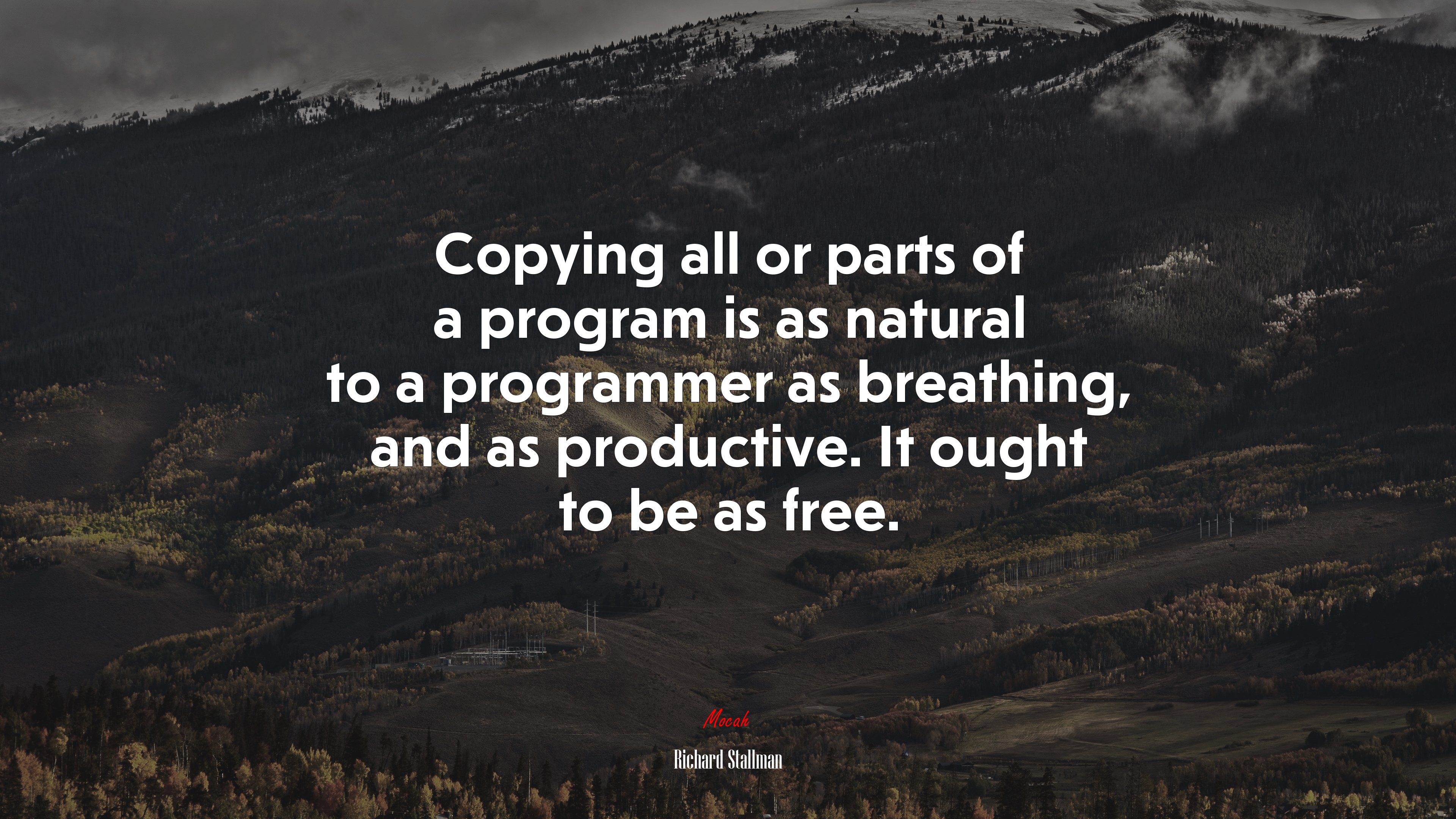 Copying all or parts of a program is as natural to a programmer as breathing, and as productive. It ought to be as free. | Richard Stallman quote HD Wallpaper