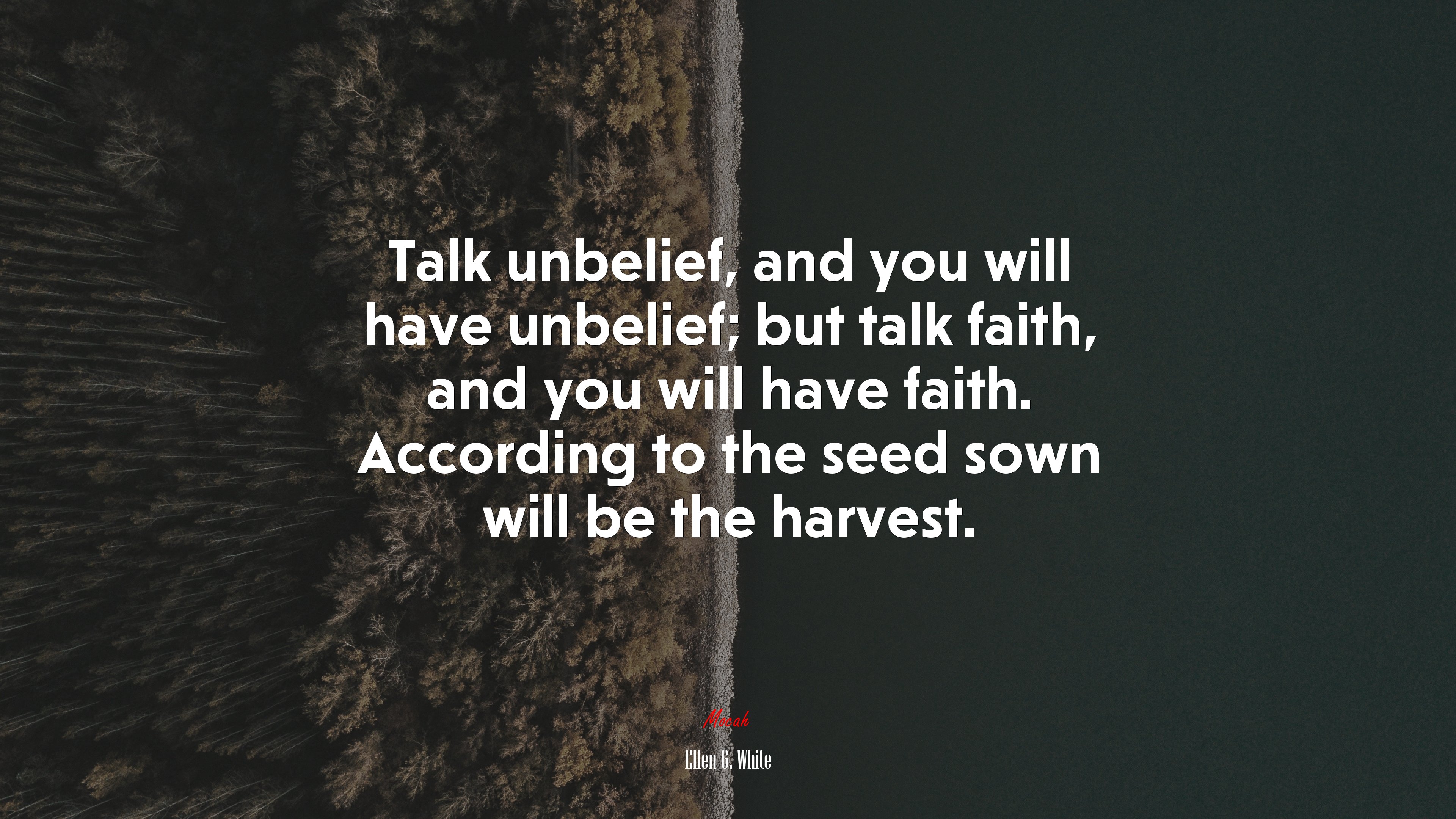 Talk unbelief, and you will have unbelief; but talk faith, and you will have faith. According to the seed sown will be the harvest. | Ellen G. White quote HD Wallpaper