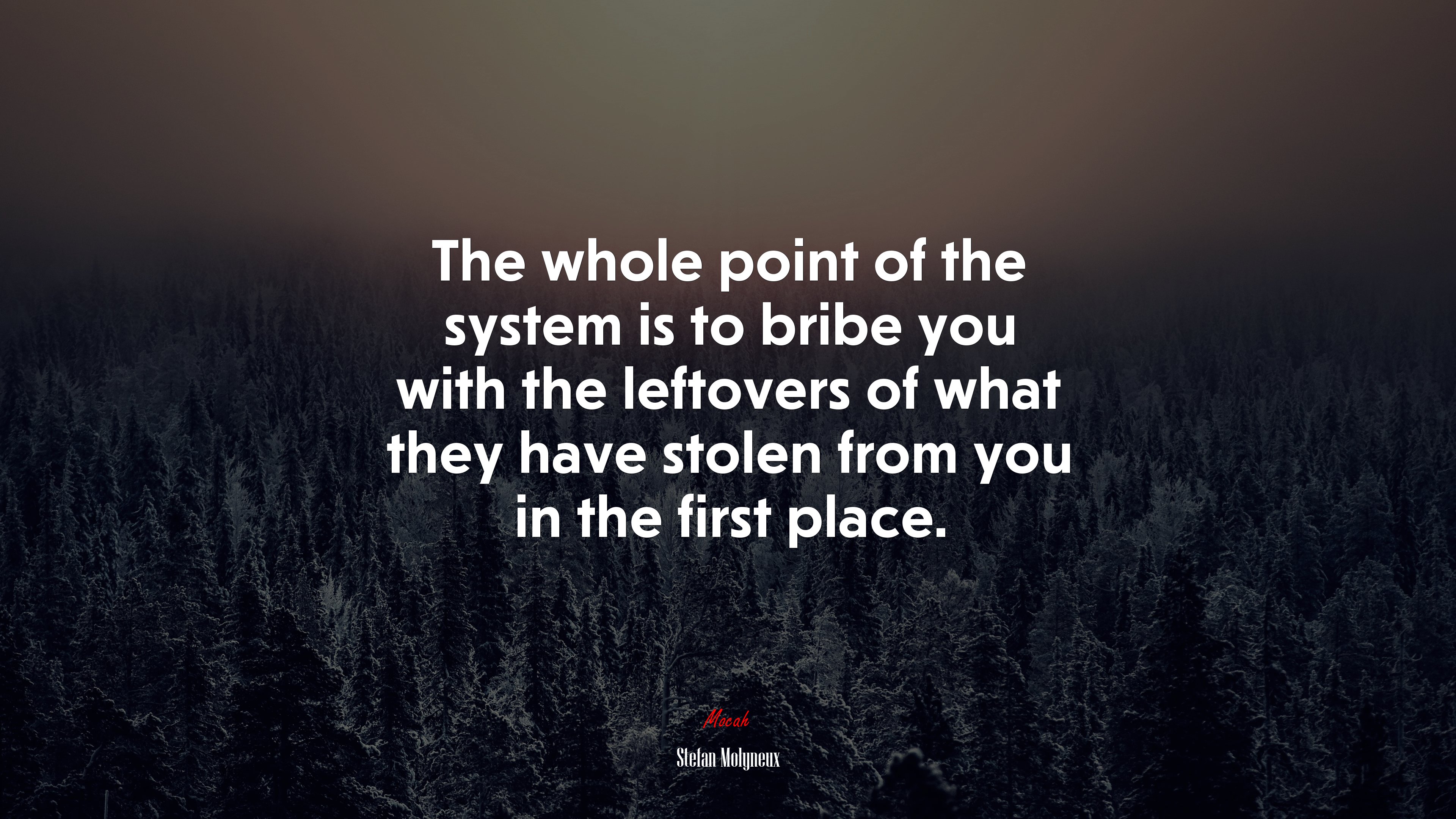 The whole point of the system is to bribe you with the leftovers of what they have stolen from you in the first place. | Stefan Molyneux quote HD Wallpaper