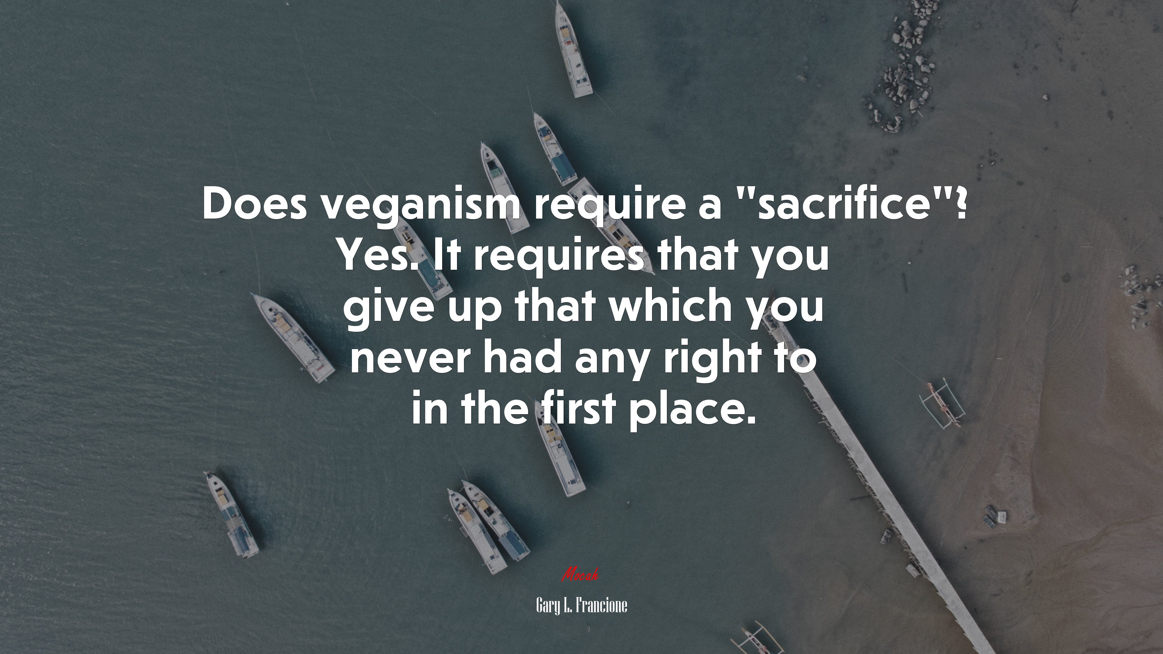 Does veganism require a “sacrifice”? Yes. It requires that you give up that which you never had any right to in the first place. | Gary L. Francione quote HD Wallpaper