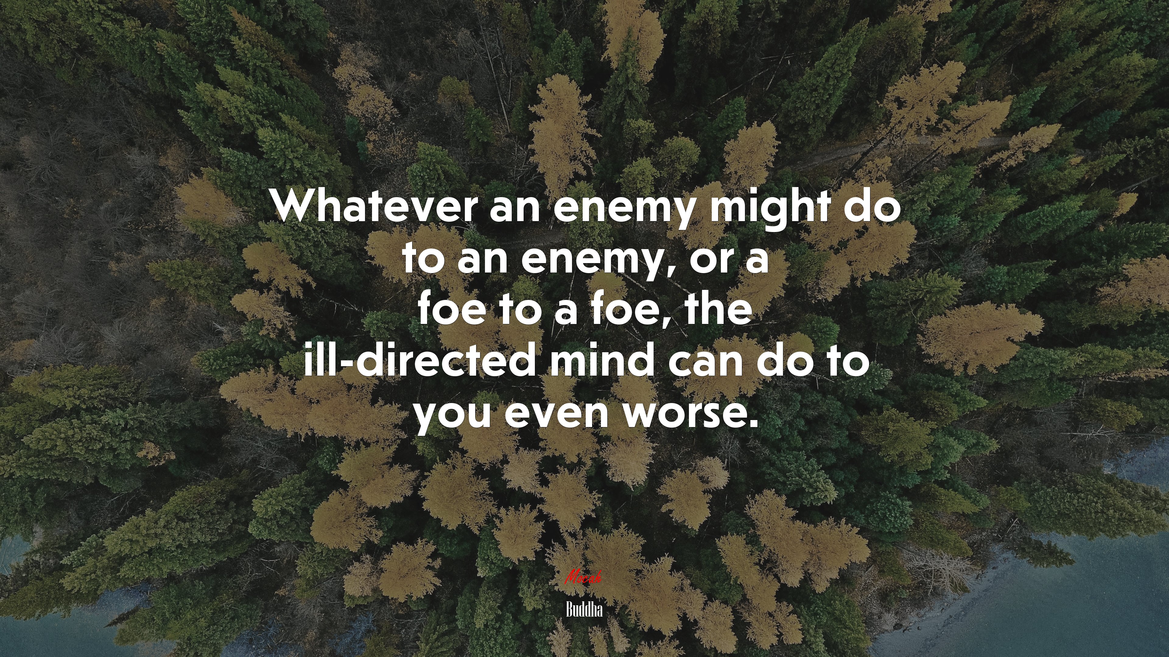 Whatever an enemy might do to an enemy, or a foe to a foe, the ill-directed mind can do to you even worse. | Buddha quote HD Wallpaper