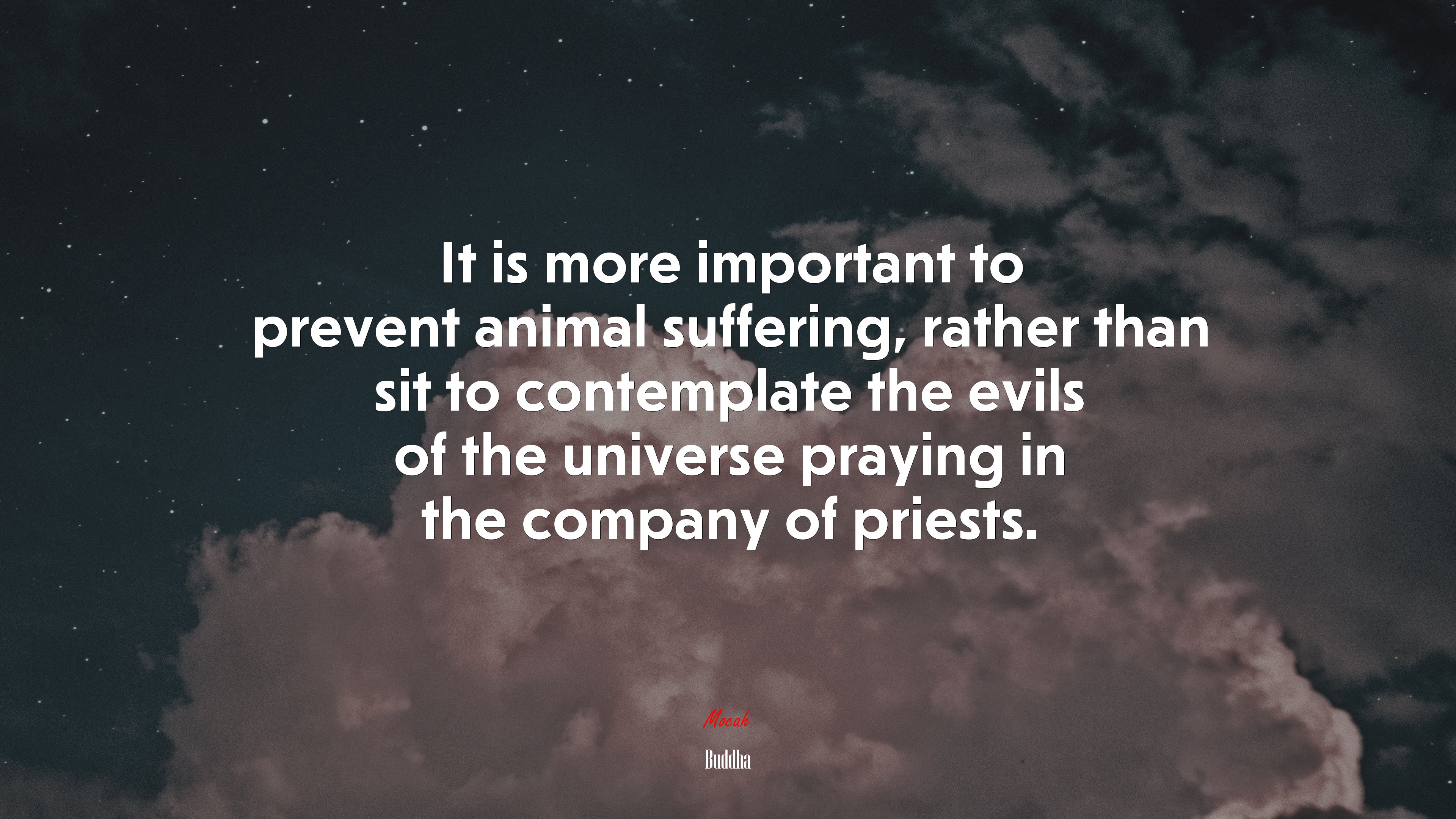 It is more important to prevent animal suffering, rather than sit to contemplate the evils of the universe praying in the company of priests. | Buddha quote HD Wallpaper