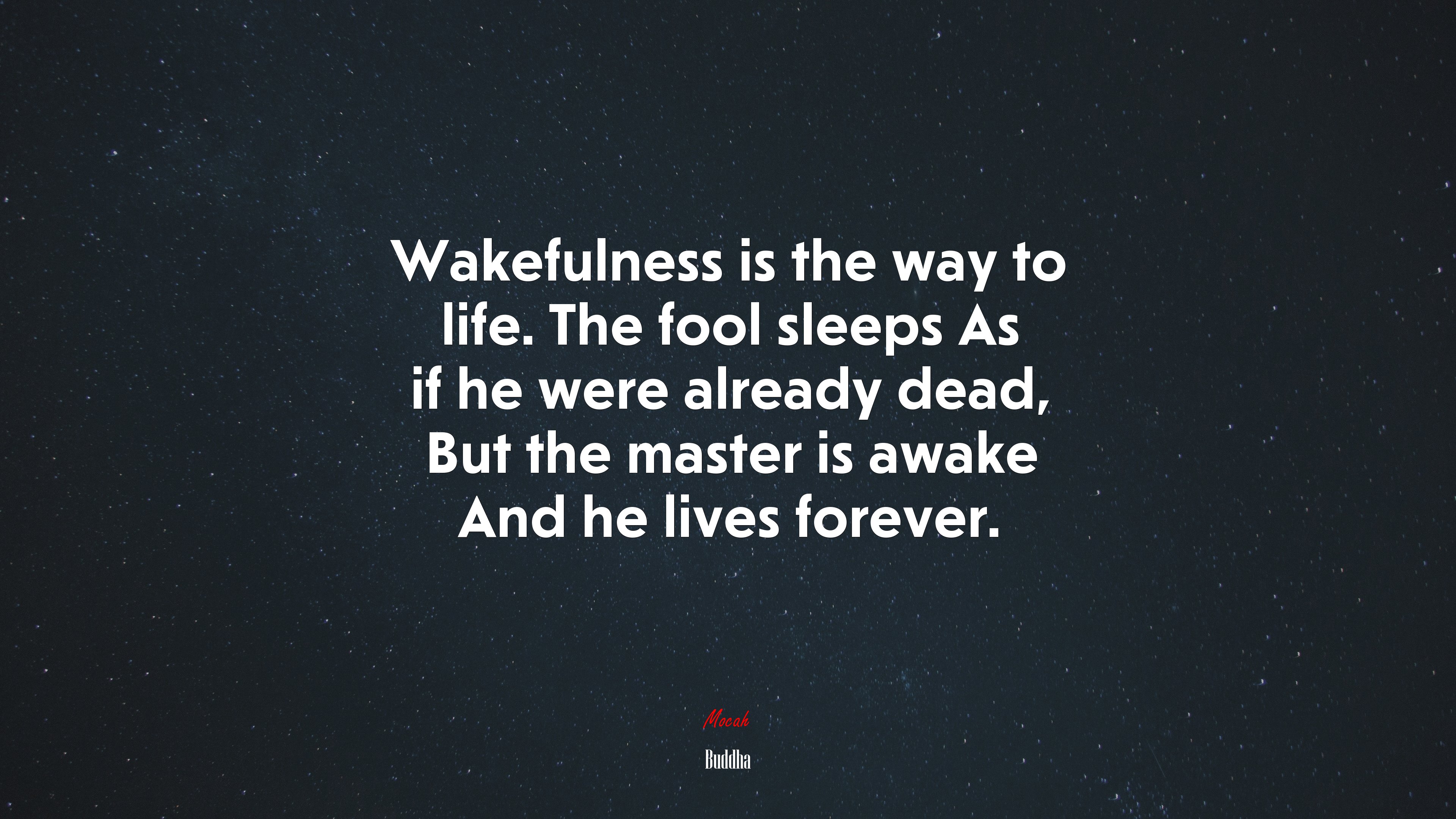 Wakefulness is the way to life. The fool sleeps As if he were already dead, But the master is awake And he lives forever. | Buddha quote HD Wallpaper