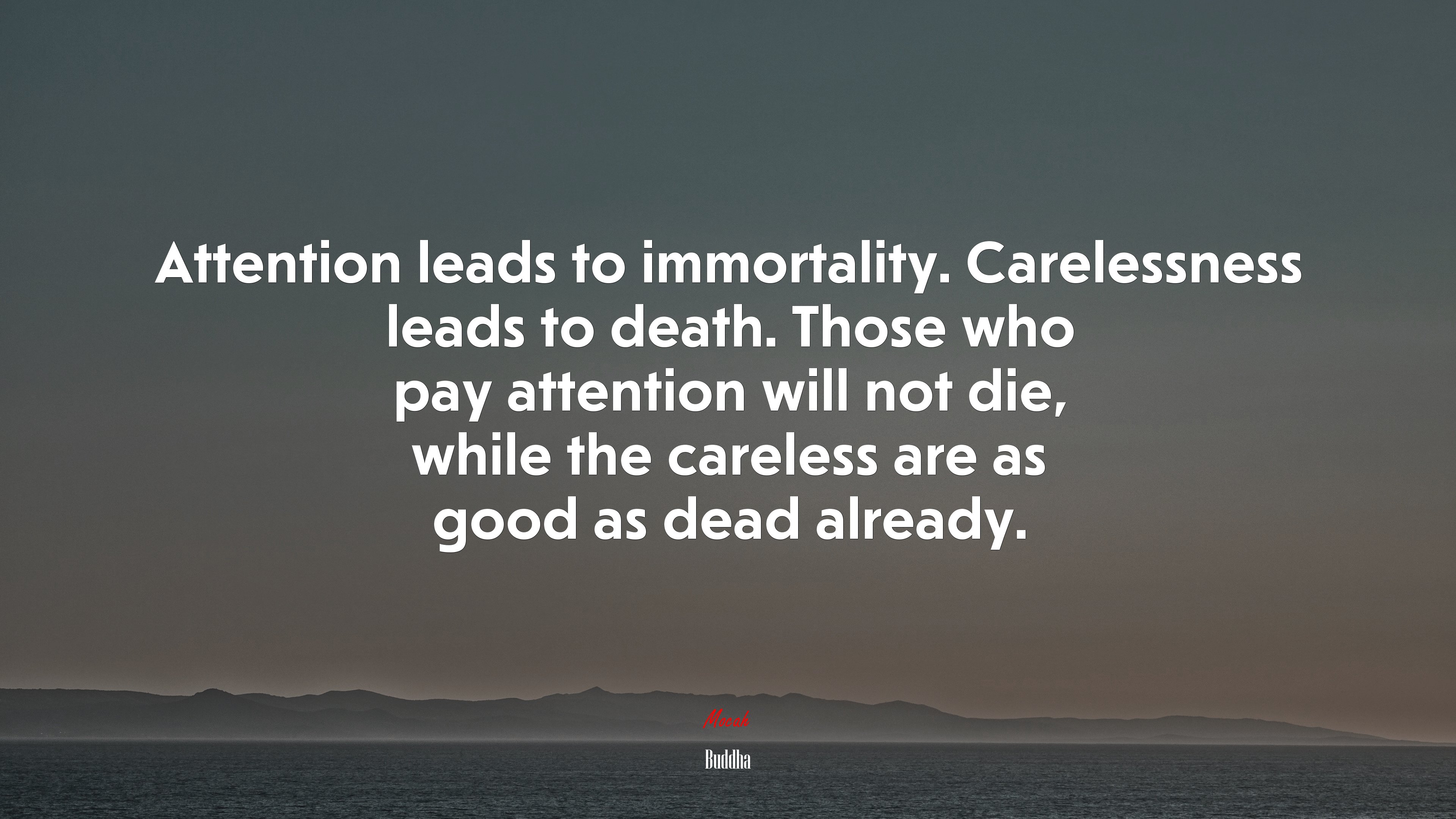 Attention leads to immortality. Carelessness leads to death. Those who pay attention will not die, while the careless are as good as dead already. | Buddha quote HD Wallpaper