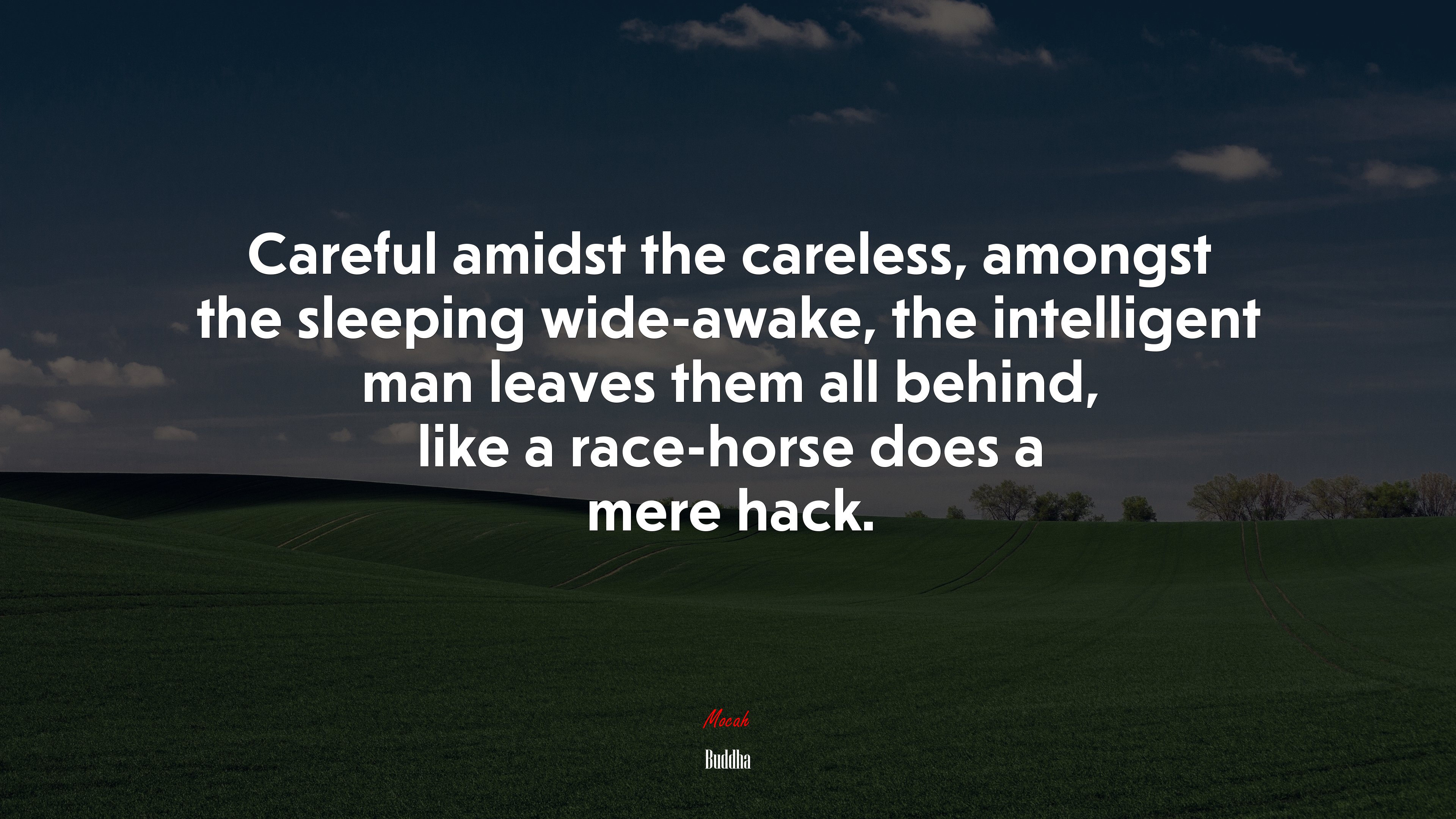 Careful amidst the careless, amongst the sleeping wide-awake, the intelligent man leaves them all behind, like a race-horse does a mere hack. | Buddha quote HD Wallpaper