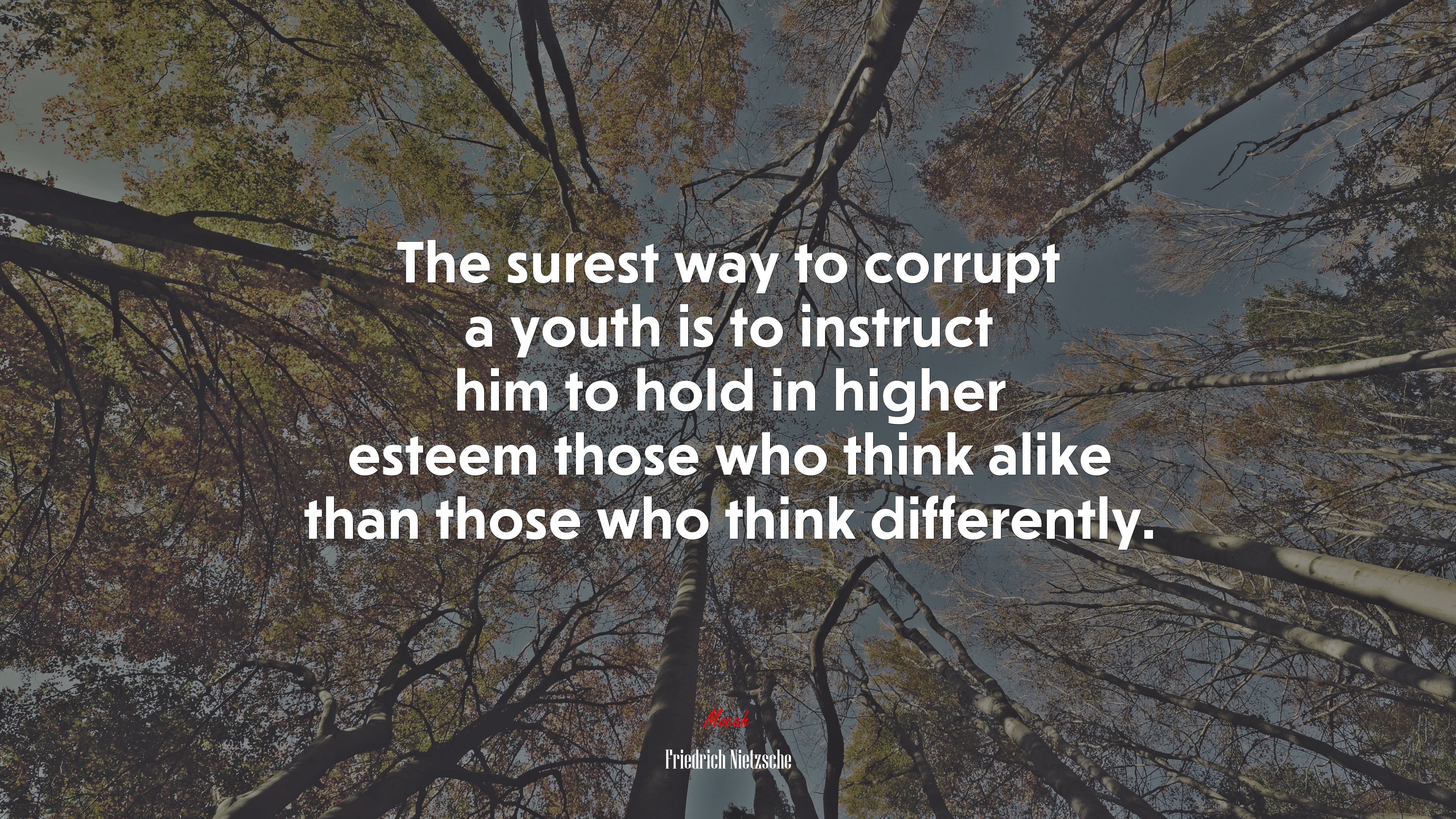 The surest way to corrupt a youth is to instruct him to hold in higher esteem those who think alike than those who think differently. | Friedrich Nietzsche quote HD Wallpaper