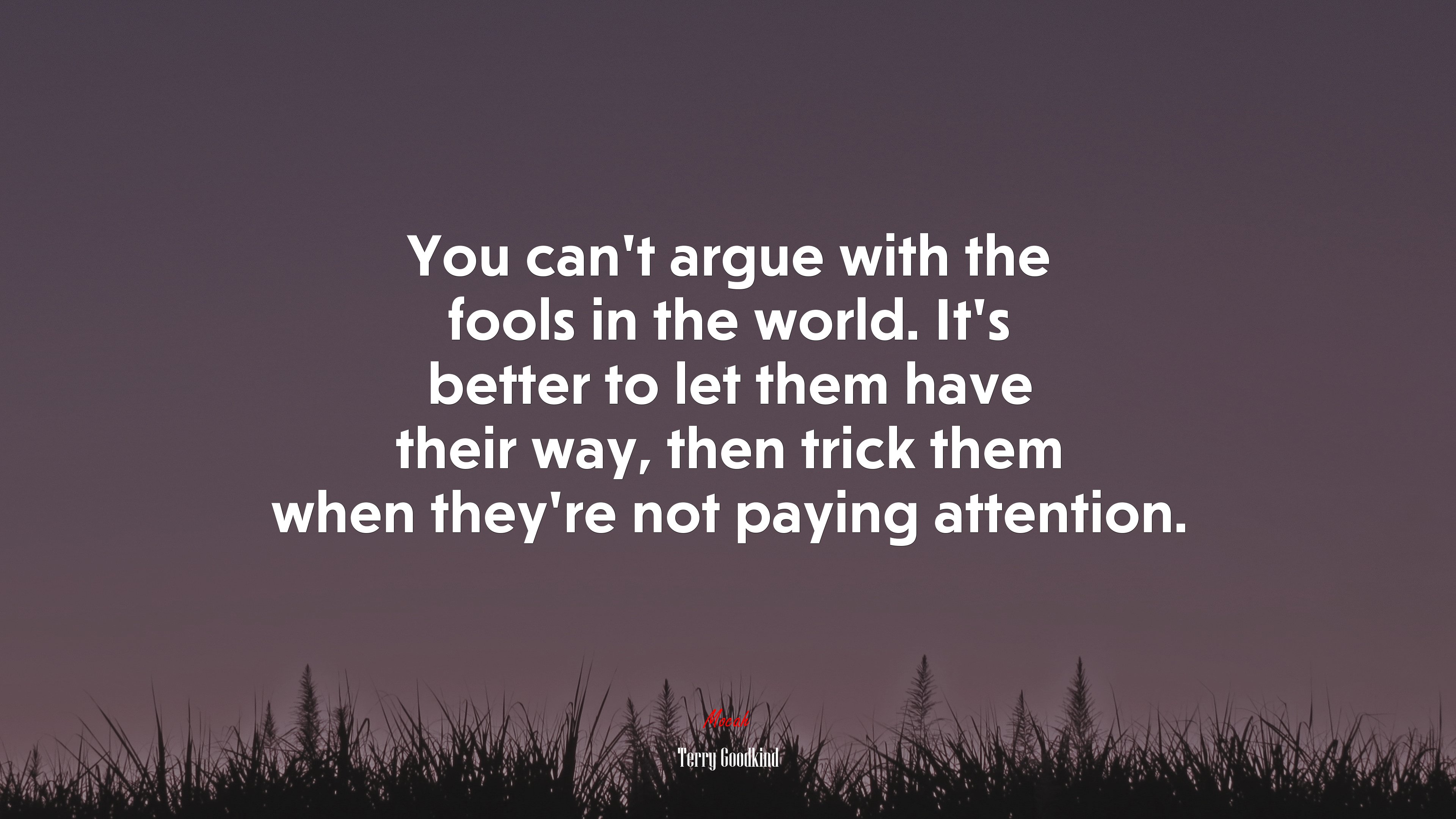 You can’t argue with the fools in the world. It’s better to let them have their way, then trick them when they’re not paying attention. | Terry Goodkind quote HD Wallpaper