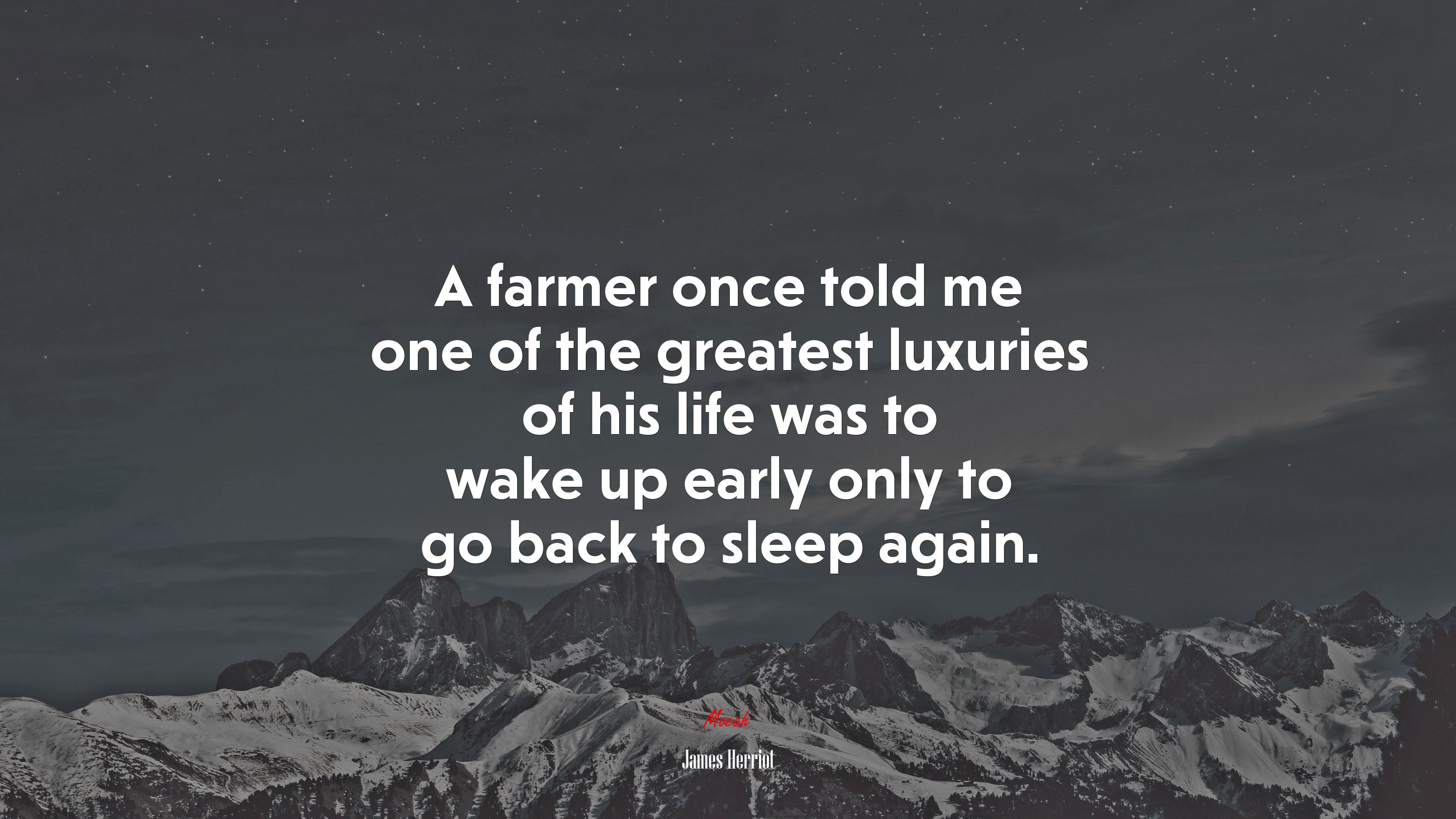 A farmer once told me one of the greatest luxuries of his life was to wake up early only to go back to sleep again. | James Herriot quote HD Wallpaper