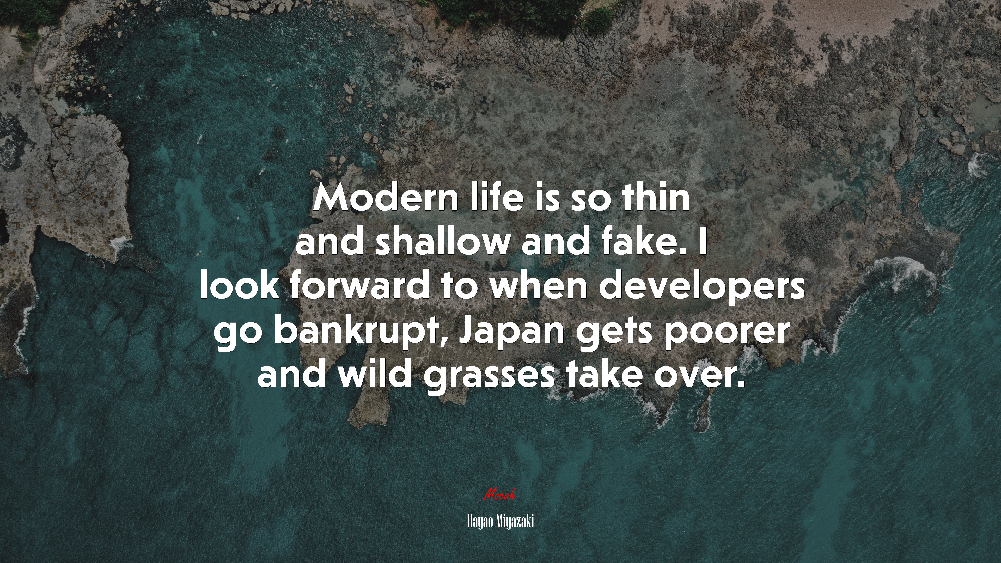 Modern life is so thin and shallow and fake. I look forward to when developers go bankrupt, Japan gets poorer and wild grasses take over. | Hayao Miyazaki quote HD Wallpaper