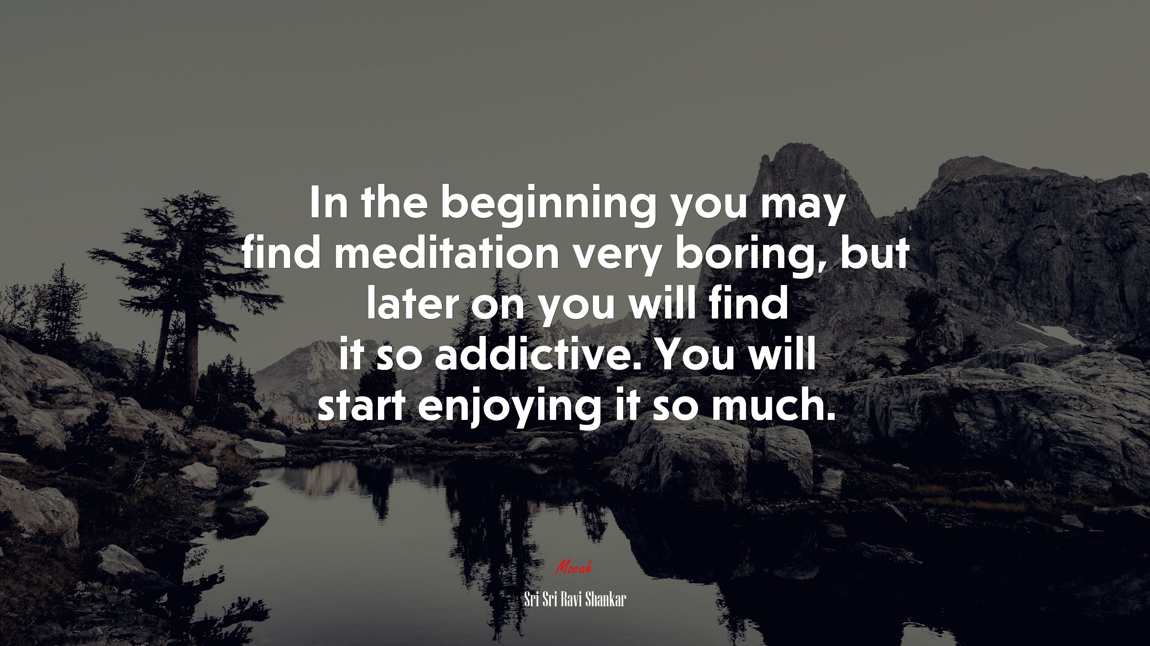 In the beginning you may find meditation very boring, but later on you will find it so addictive. You will start enjoying it so much. | Sri Sri Ravi Shankar quote HD Wallpaper