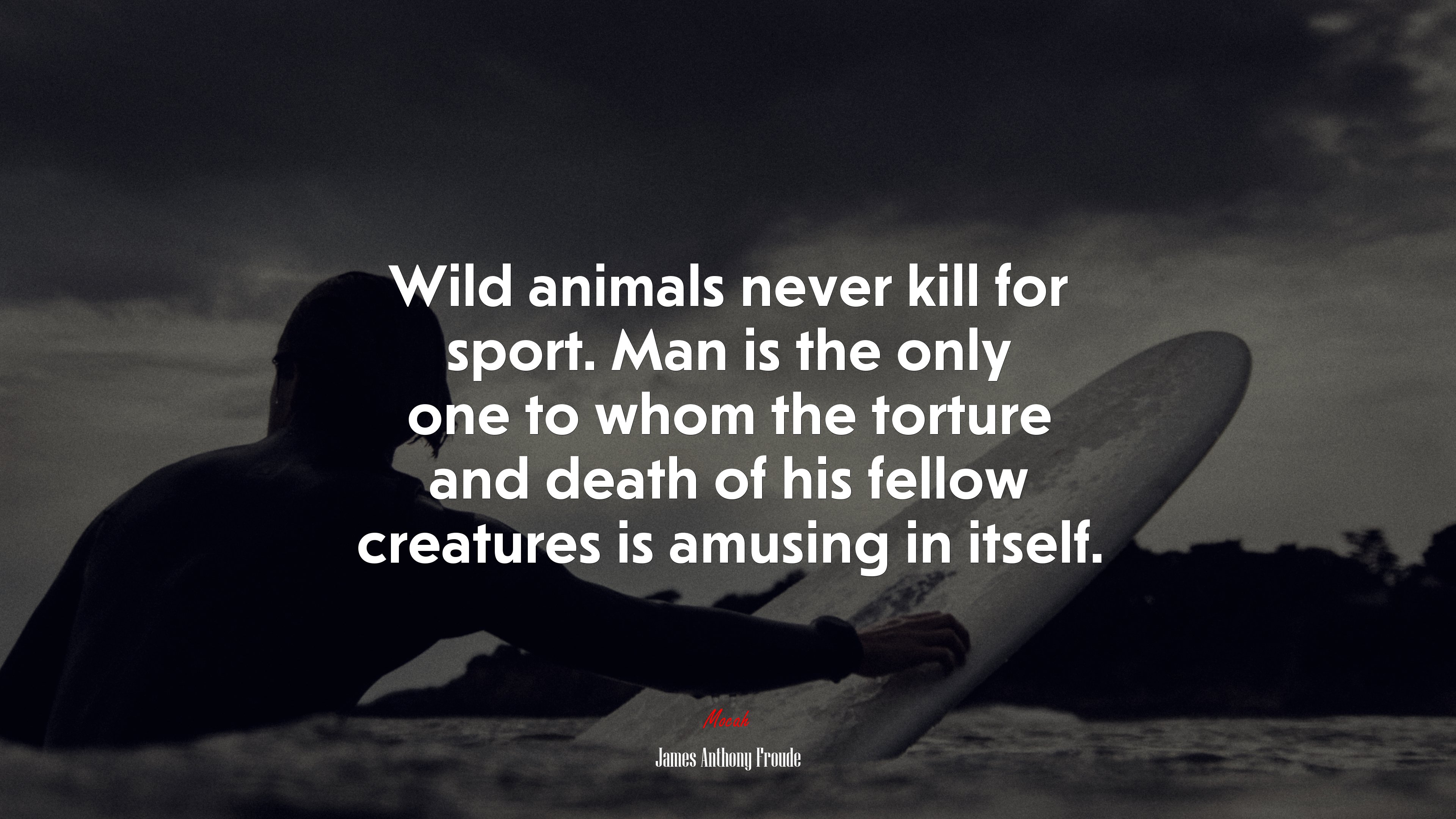 Wild animals never kill for sport. Man is the only one to whom the torture and death of his fellow creatures is amusing in itself. | James Anthony Froude quote HD Wallpaper