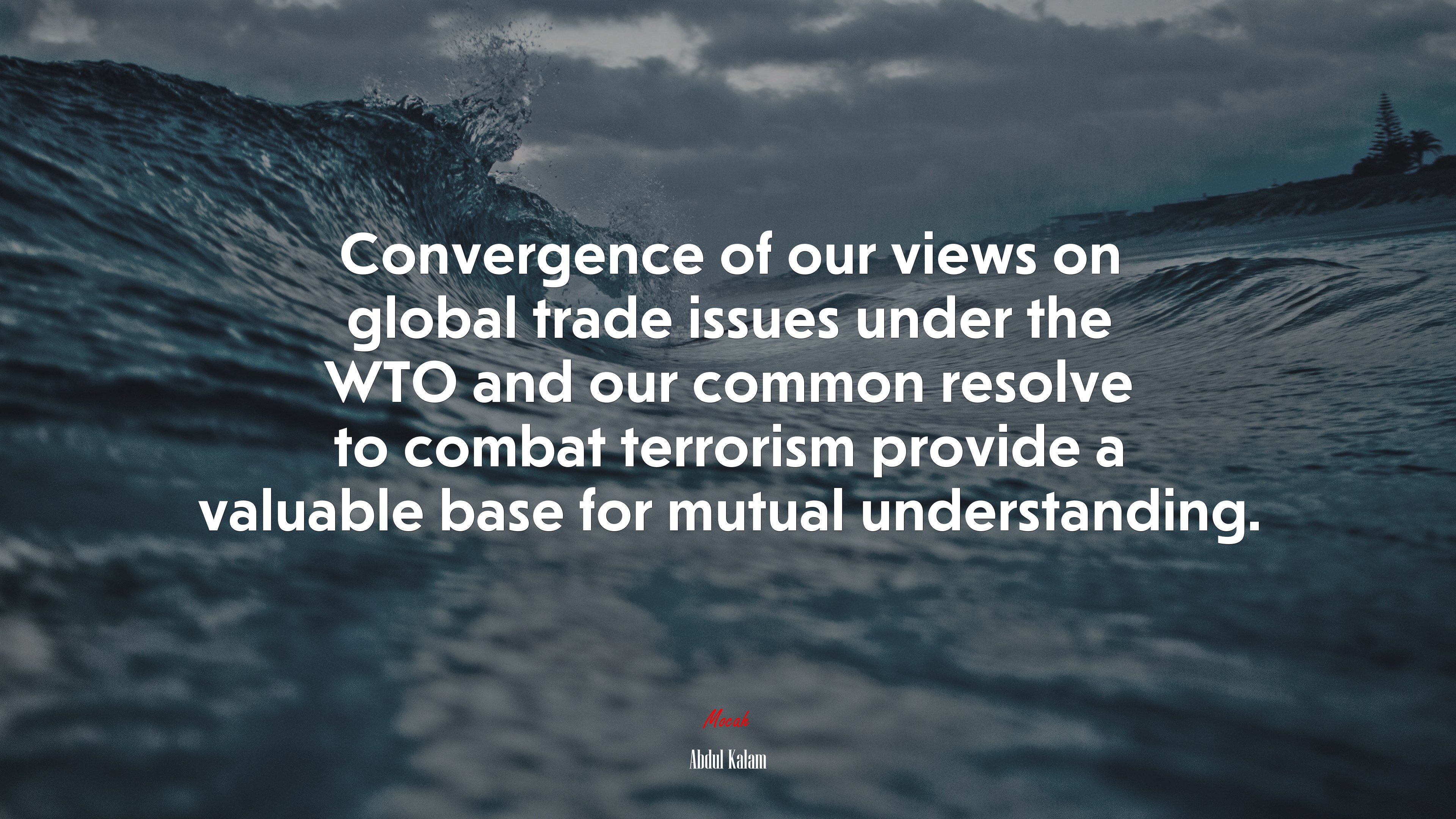 Convergence of our views on global trade issues under the WTO and our common resolve to combat terrorism provide a valuable base for mutual understanding. | Abdul Kalam quote HD Wallpaper