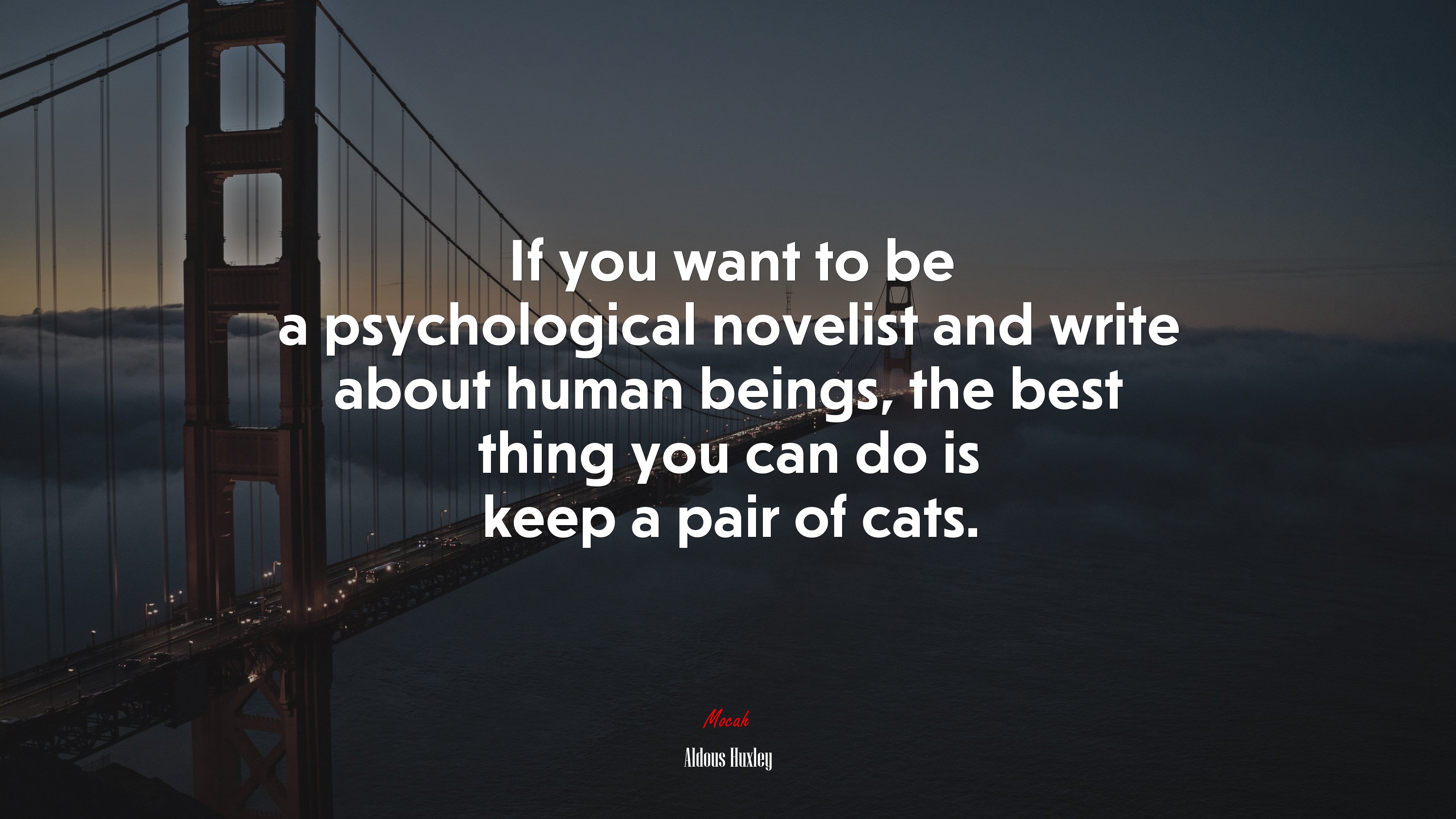 If you want to be a psychological novelist and write about human beings, the best thing you can do is keep a pair of cats. | Aldous Huxley quote HD Wallpaper